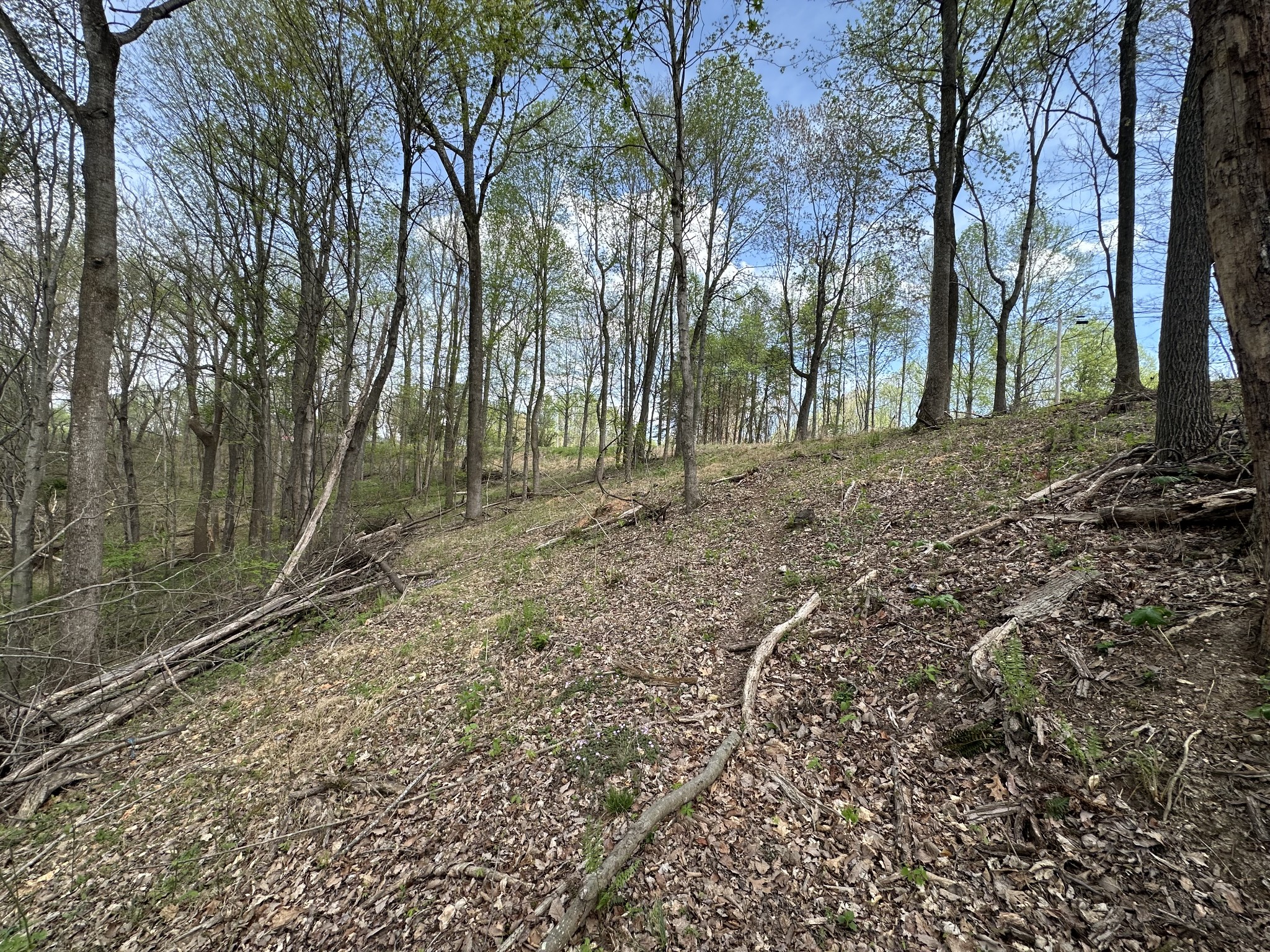 0 Maggart Road Elmwood, TN 38560 - Photo 7 of 27