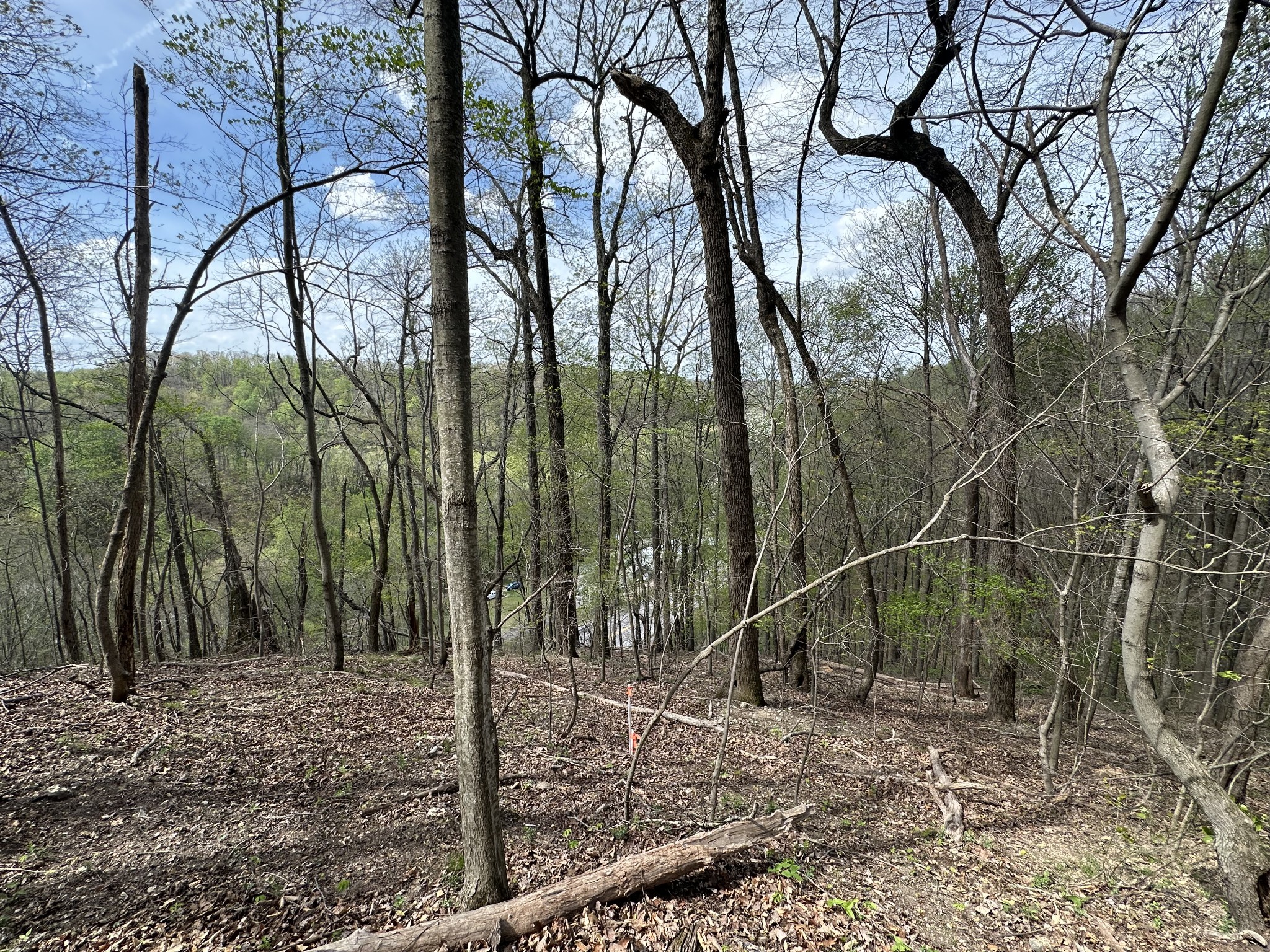 0 Maggart Road Elmwood, TN 38560 - Photo 8 of 27