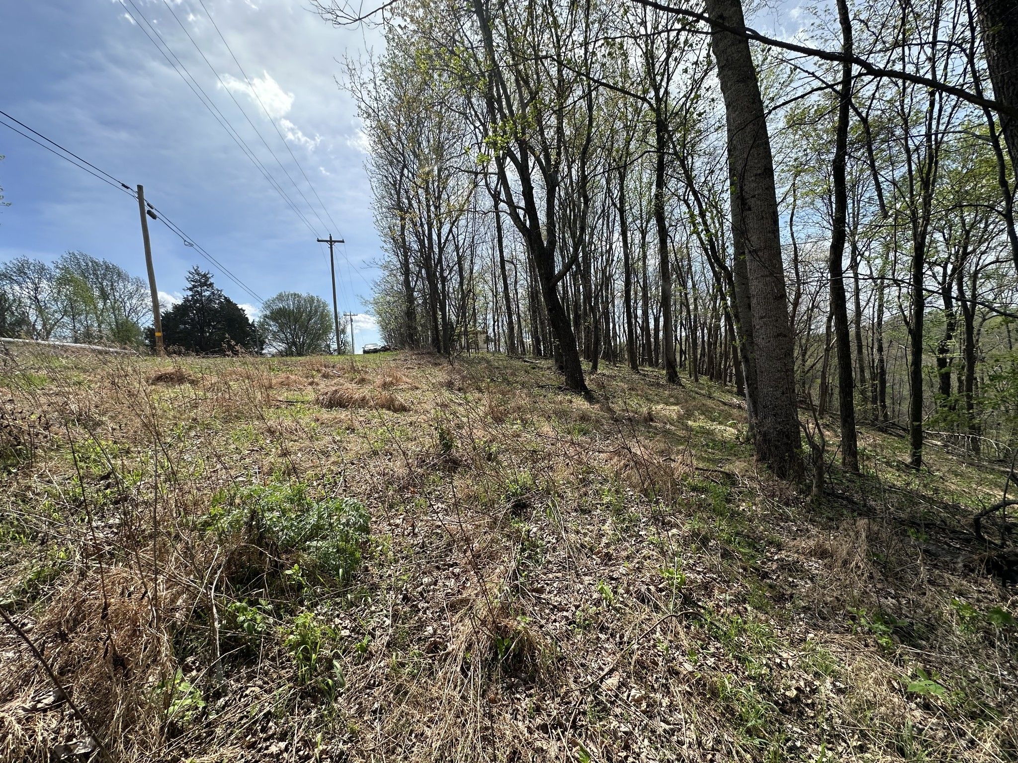 0 Maggart Road Elmwood, TN 38560 - Photo 9 of 27