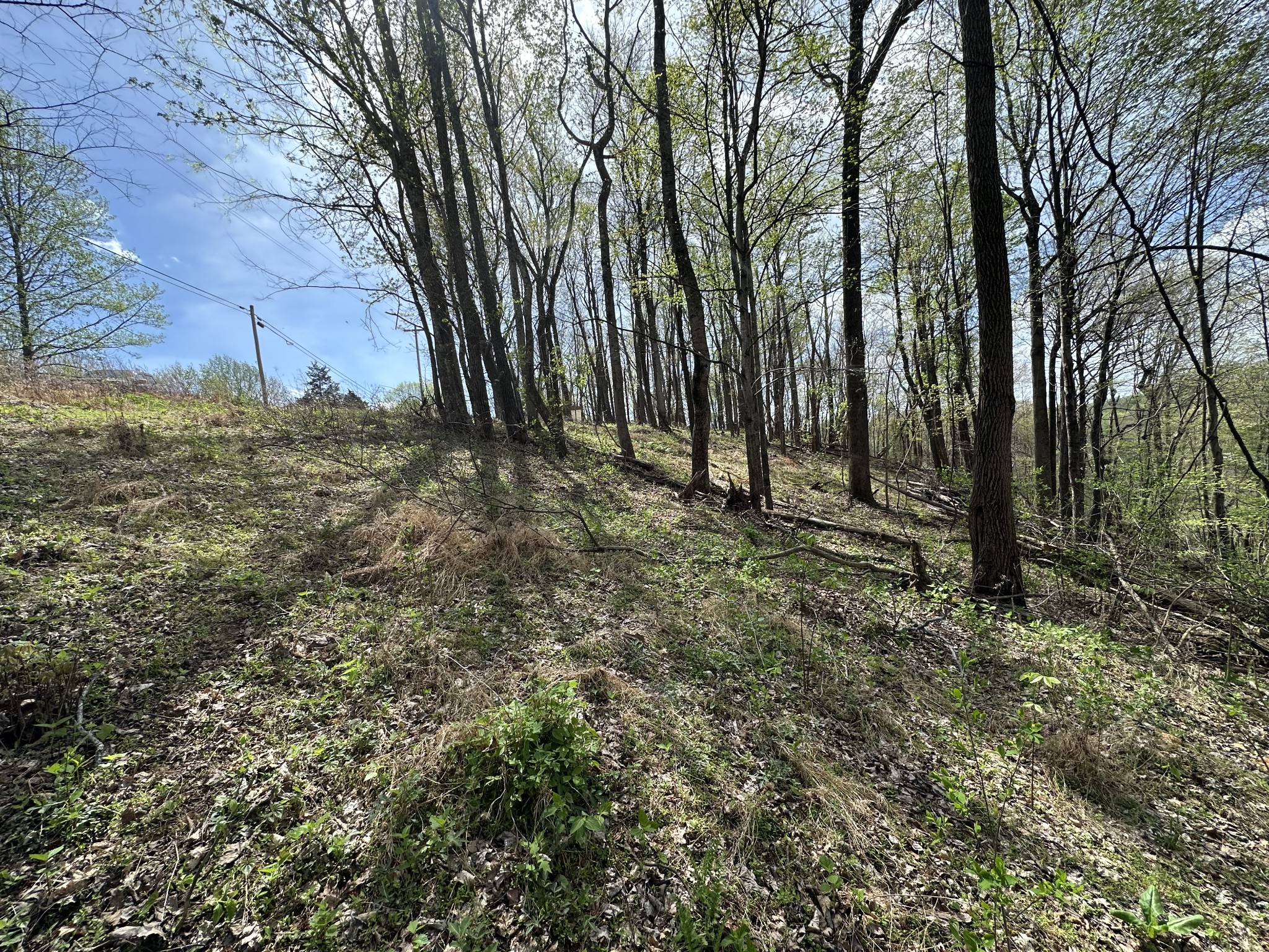 0 Maggart Road Elmwood, TN 38560 - Photo 10 of 27