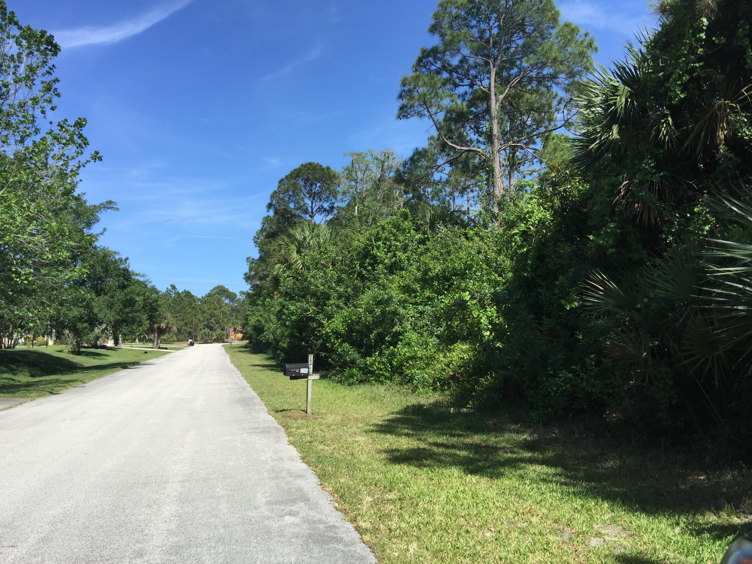 Xxx Gerry Road Southwest Palm Bay, FL 32908 - Photo 2 of 2 IMG_4078