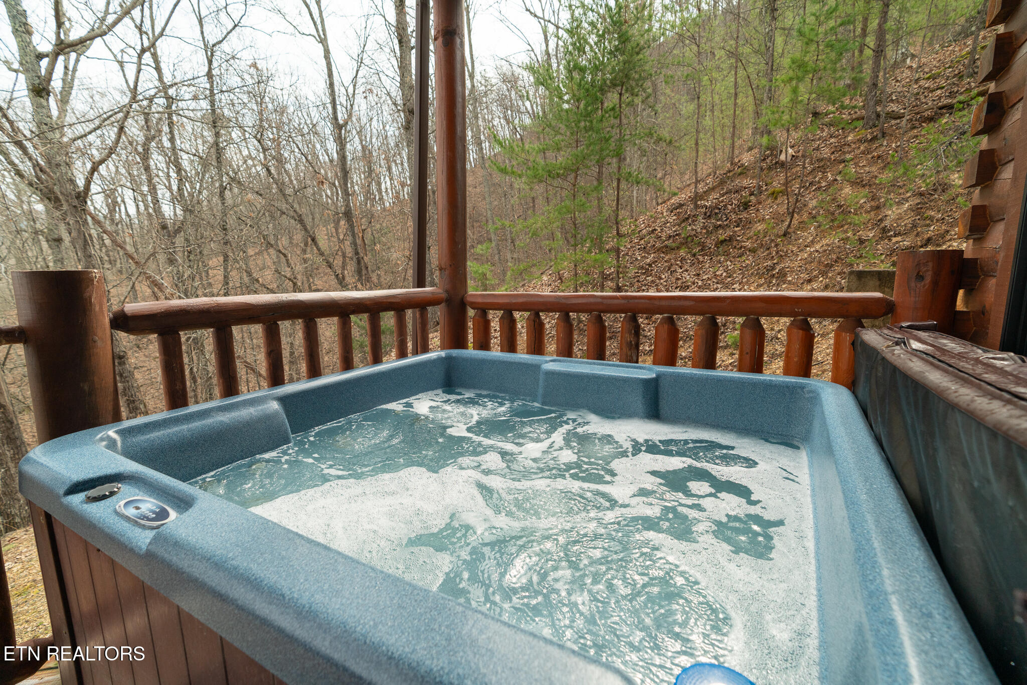1551 Bears Den Way Sevierville, TN 37862 - Photo 36 of 41 untitled-36