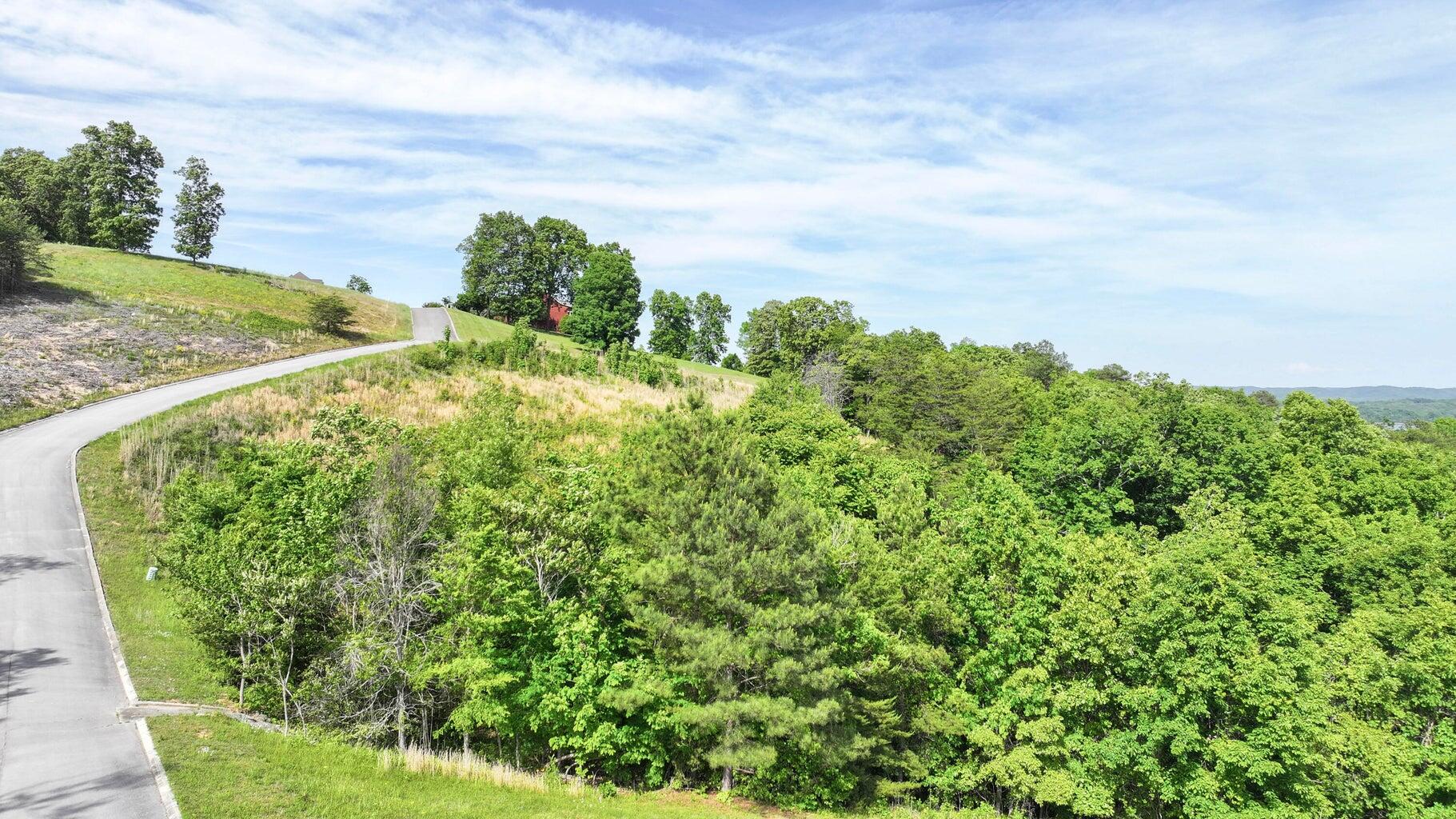 Lot 13 Riversound Drive Dayton, TN 37321 - Photo 7 of 8 7