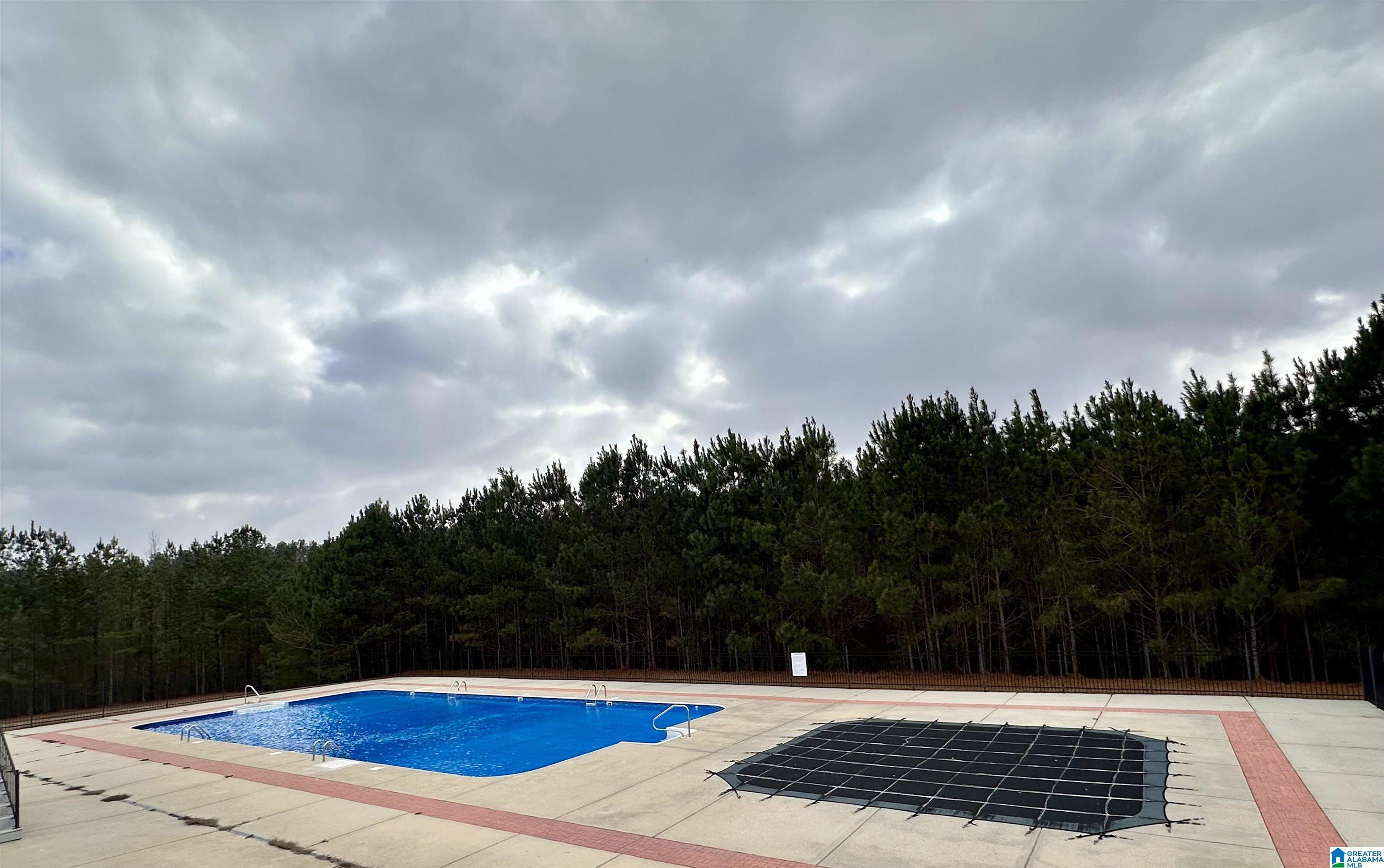 321 Blackberry Boulevard Springville, AL 35146 - Photo 4 of 38
