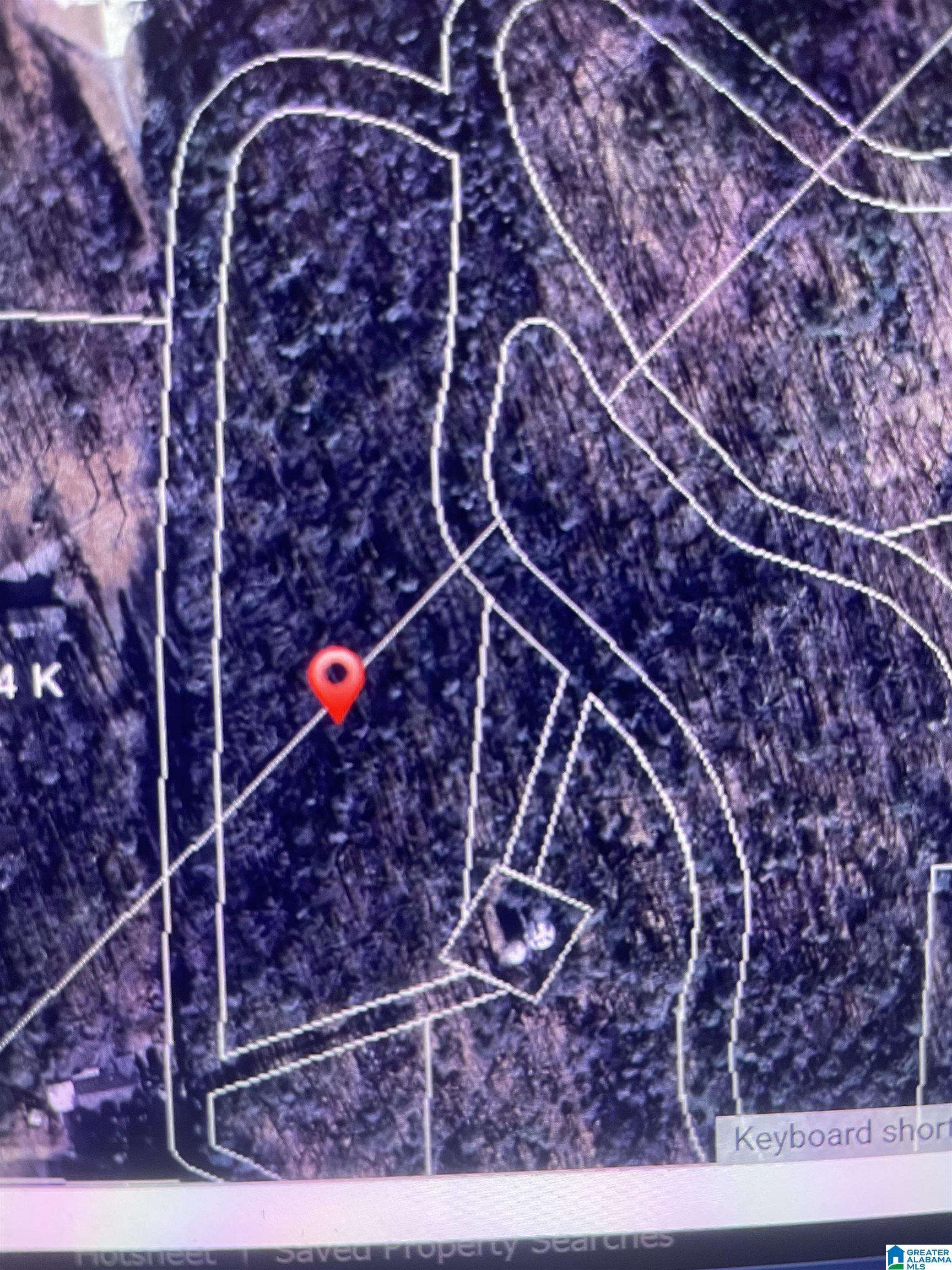 110 Luke Drive Springville, AL 35146 - Photo 1 of 1