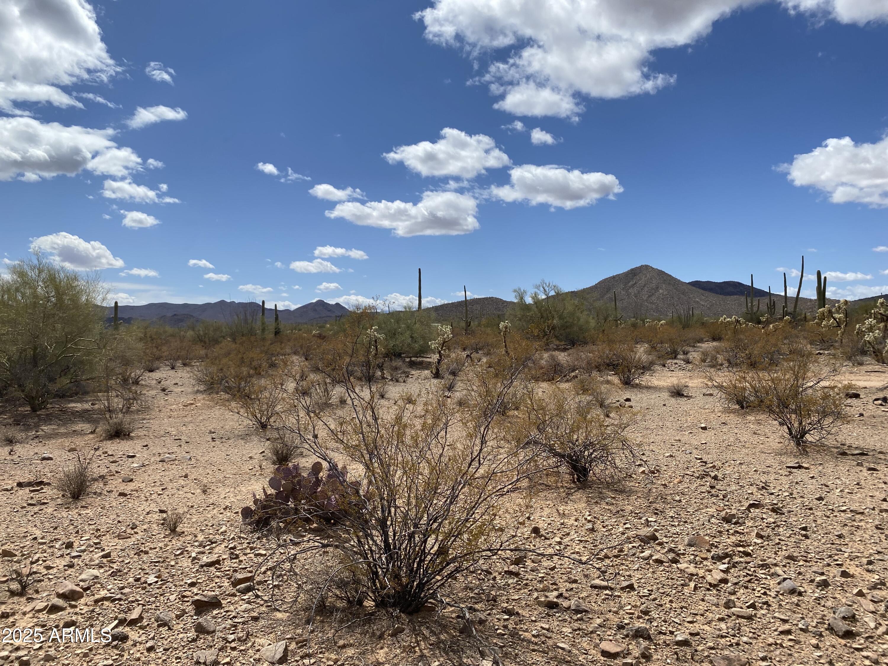 545-acres West Manville Road Marana, AZ 85653 - Photo 13 of 20 IMG_8311 (1)