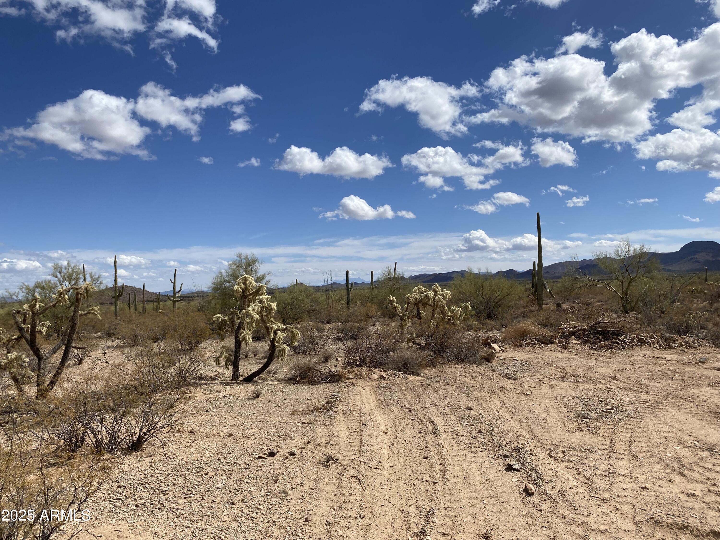 545-acres West Manville Road Marana, AZ 85653 - Photo 5 of 20 IMG_8331