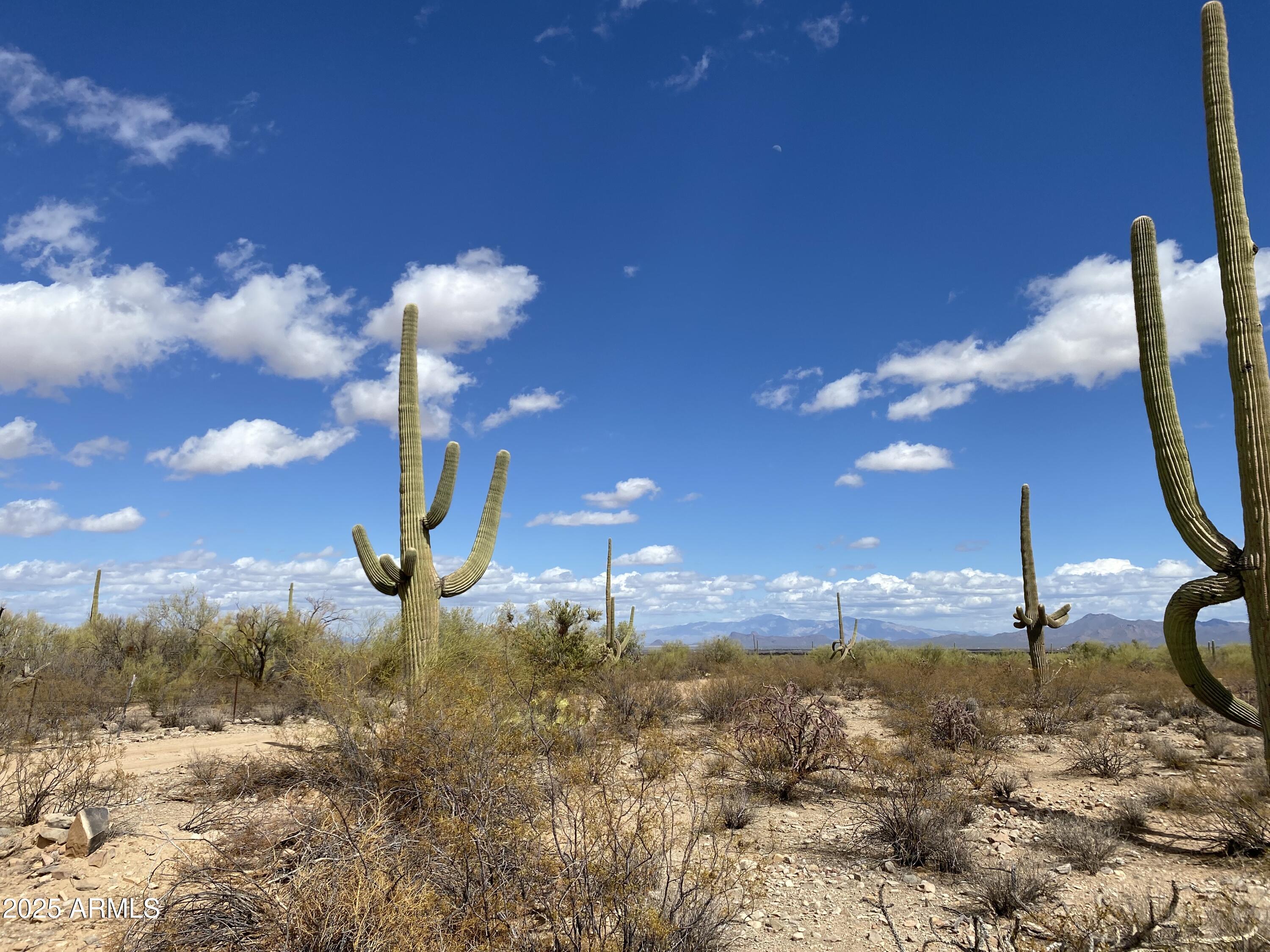 545-acres West Manville Road Marana, AZ 85653 - Photo 9 of 20 IMG_8330 (1)