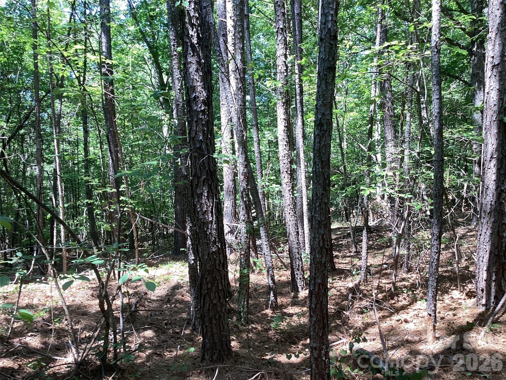 0 Powell Road Mill Spring, NC 28756 - Photo 13 of 22
