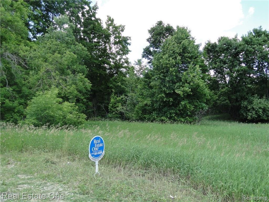 1717 West Sharon Road Fife Lake, MI 49633 - Photo 3 of 17 DSC04460.JPG