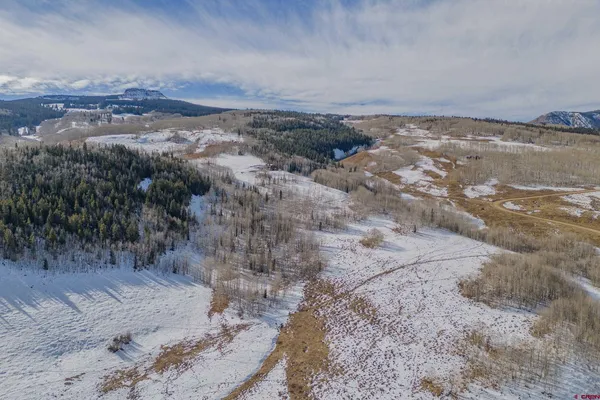a view of a dry yard with wooden fence