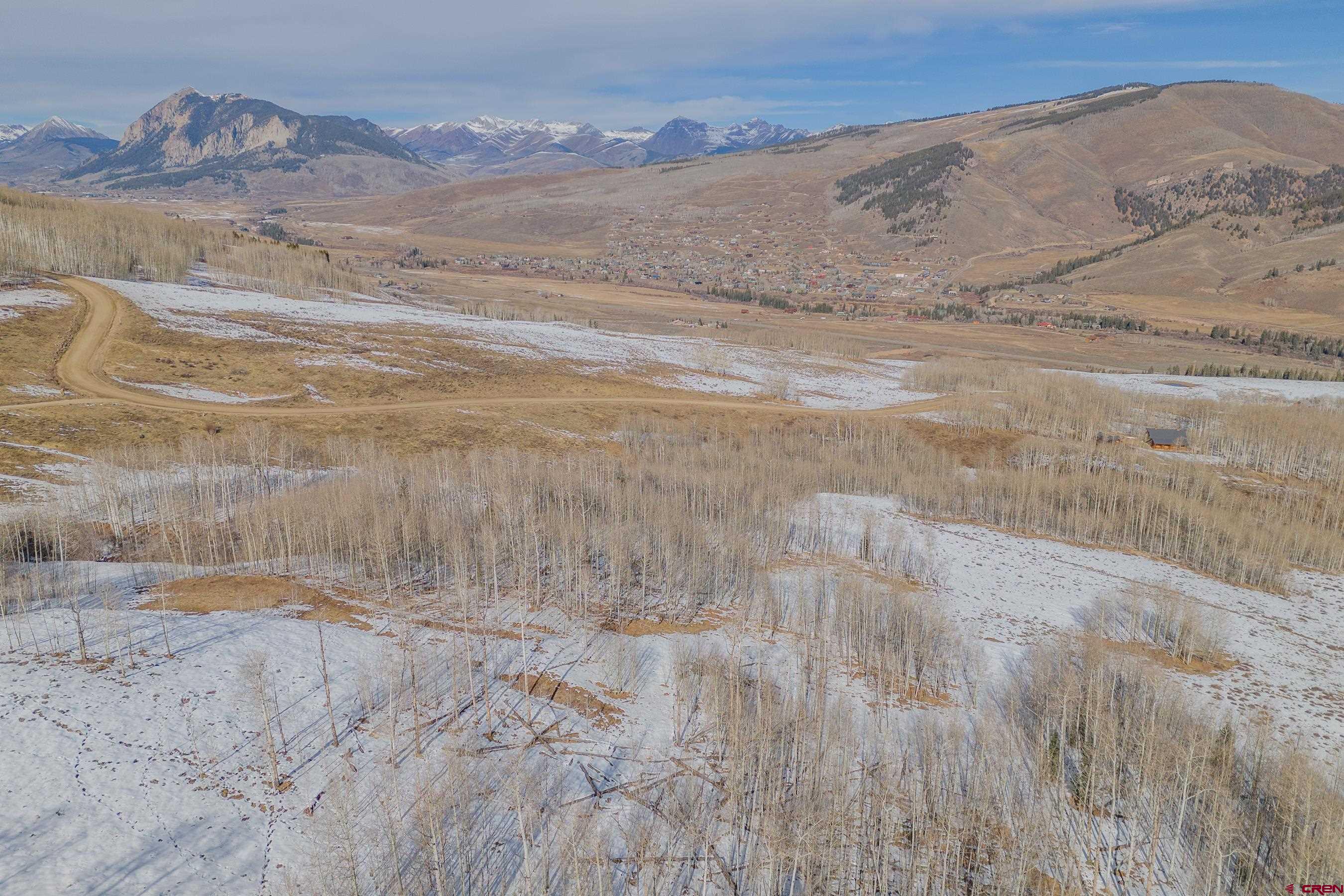 1363 Red Mountain Ranch Road Crested Butte, CO 81224 - Photo 16 of 38 a view of a dry yard with wooden floor