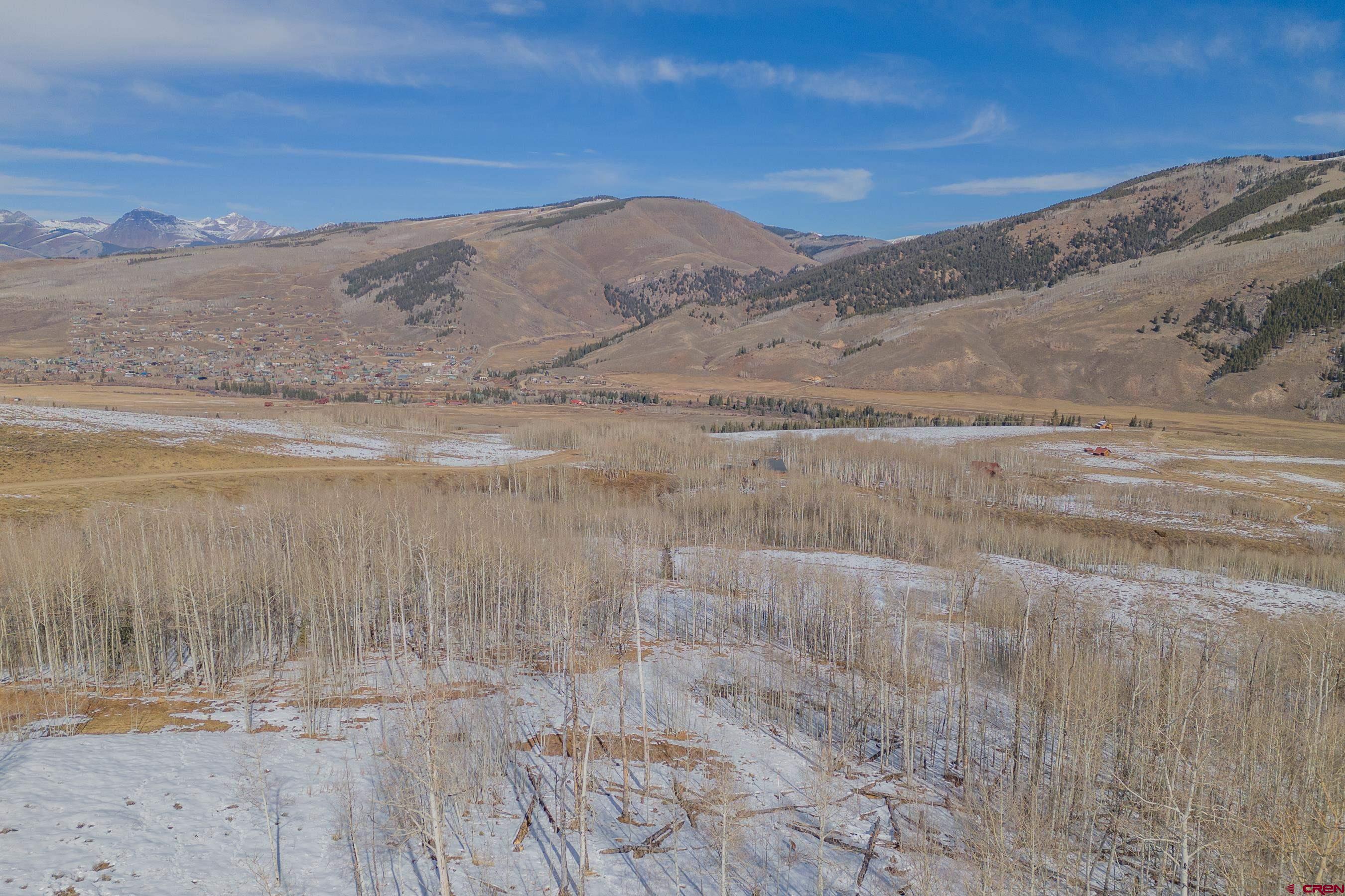 1363 Red Mountain Ranch Road Crested Butte, CO 81224 - Photo 19 of 38