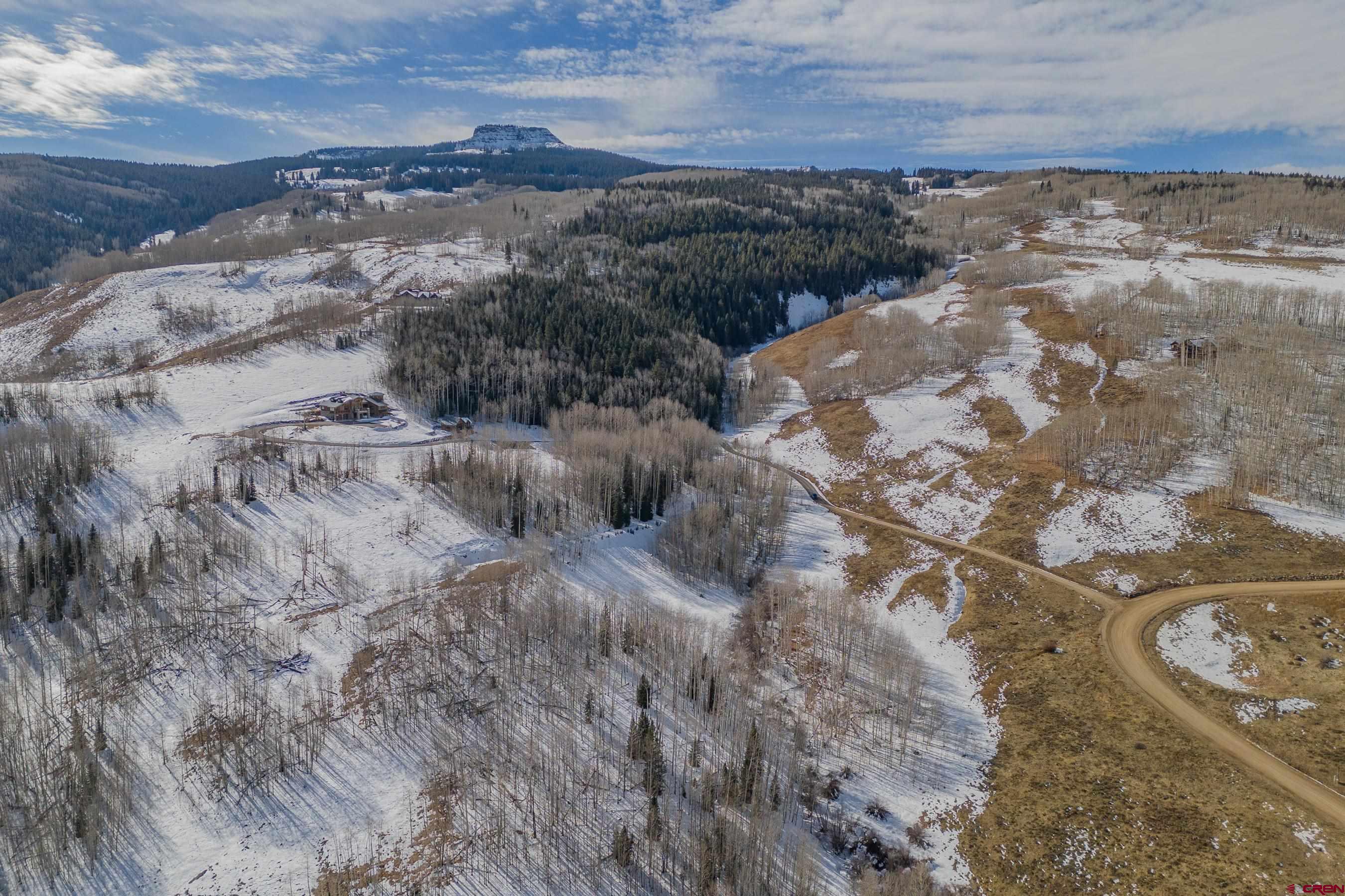 1363 Red Mountain Ranch Road Crested Butte, CO 81224 - Photo 2 of 38