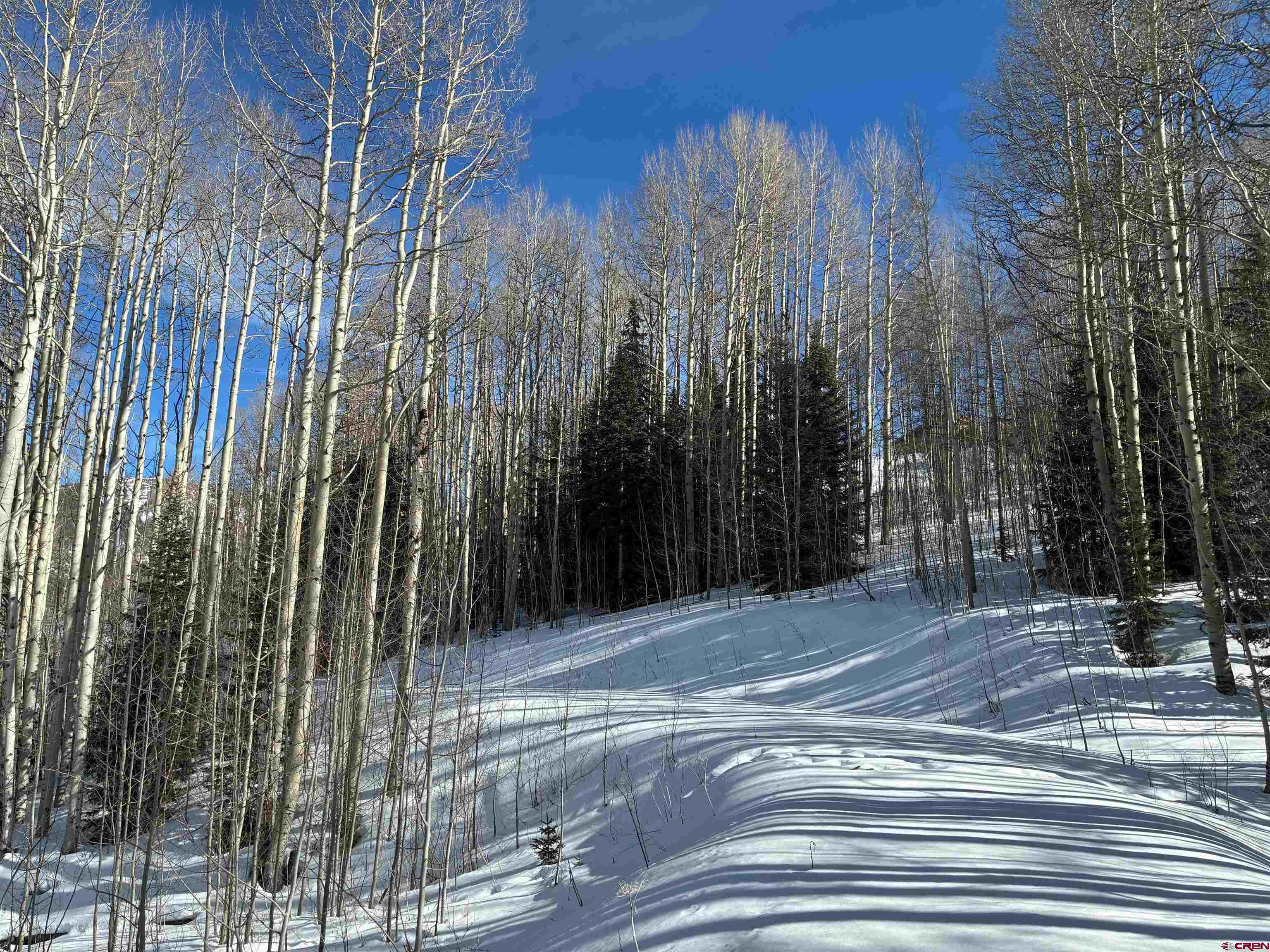 1363 Red Mountain Ranch Road Crested Butte, CO 81224 - Photo 25 of 38 a view of backyard with trees