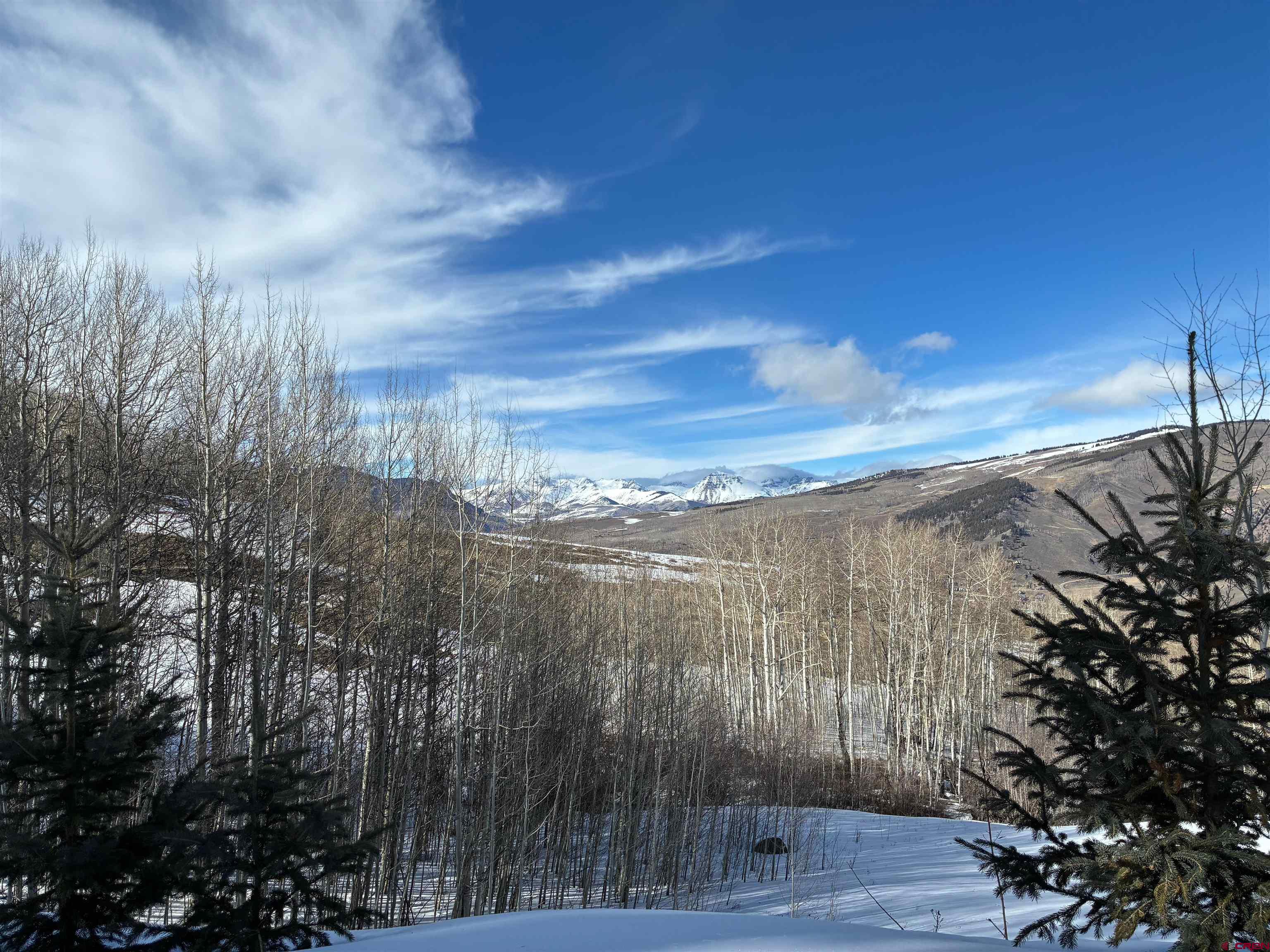 1363 Red Mountain Ranch Road Crested Butte, CO 81224 - Photo 26 of 38