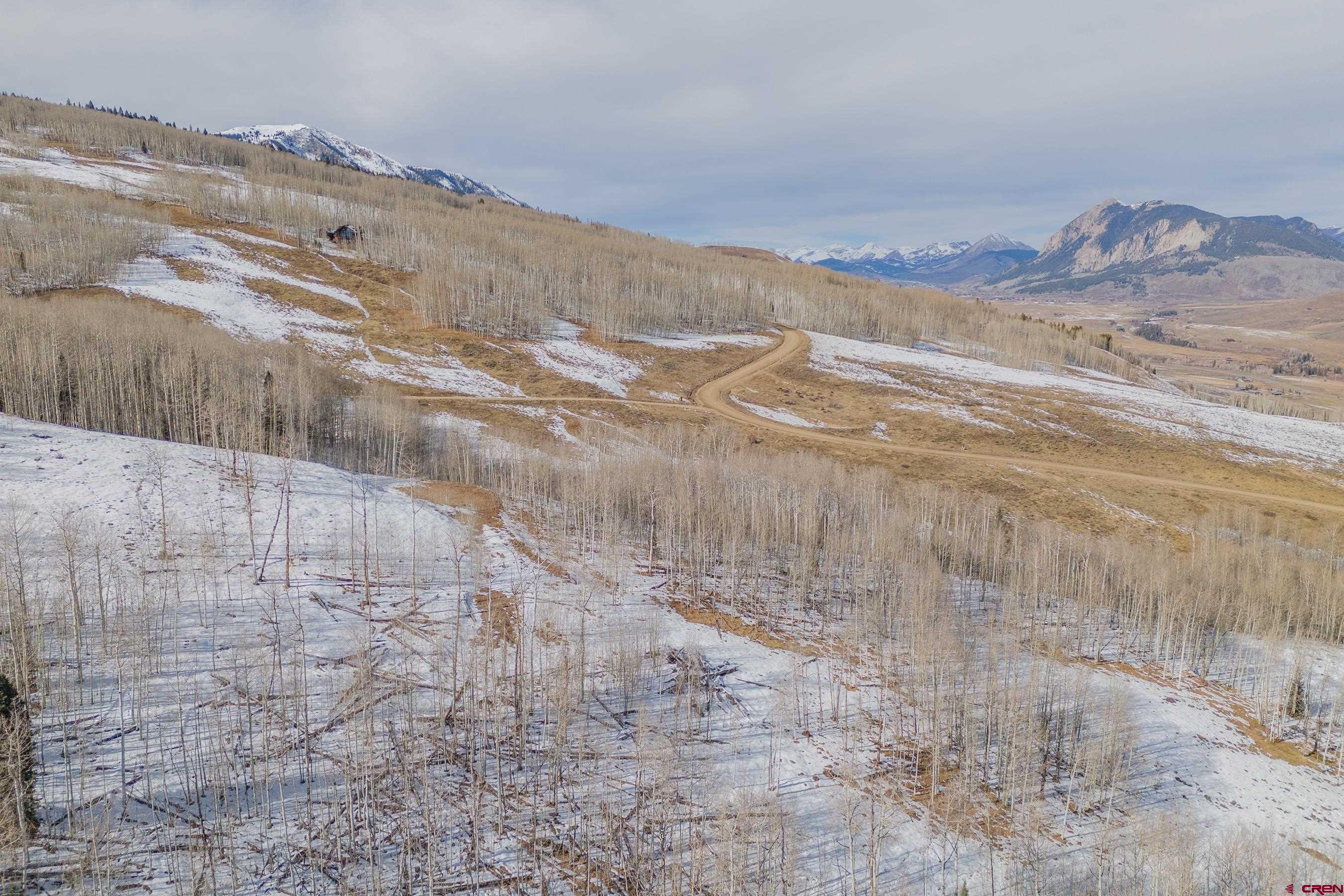 1363 Red Mountain Ranch Road Crested Butte, CO 81224 - Photo 28 of 38 a view of a dry yard with wooden fence