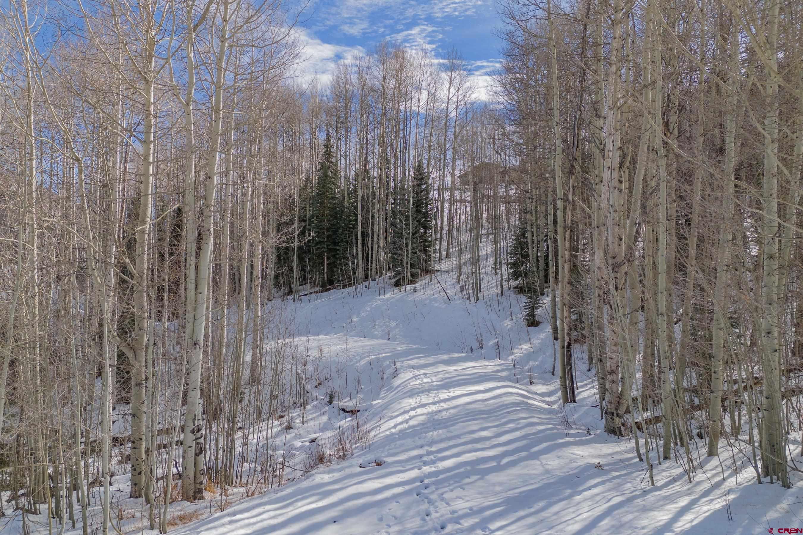 1363 Red Mountain Ranch Road Crested Butte, CO 81224 - Photo 29 of 38