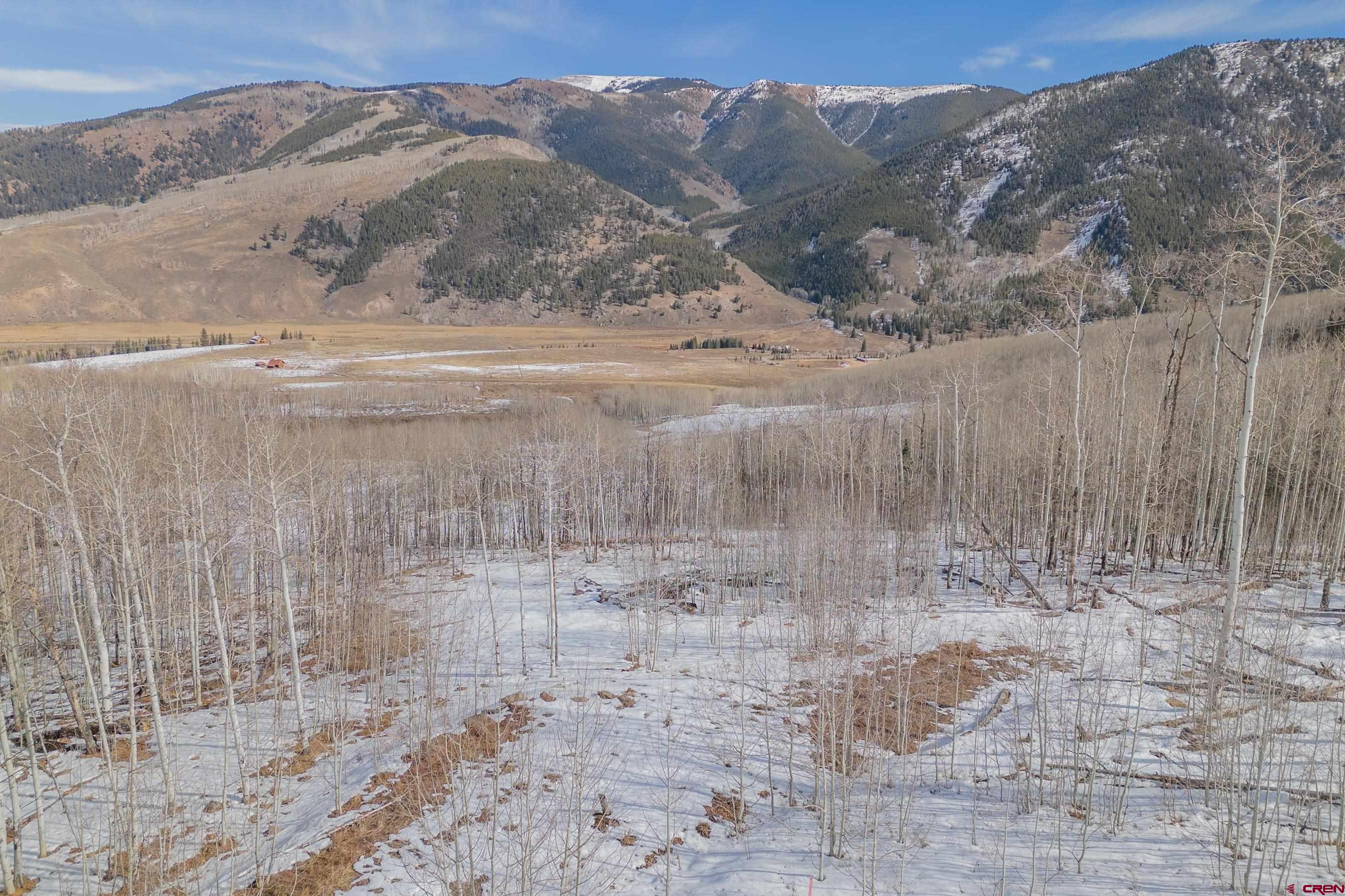 1363 Red Mountain Ranch Road Crested Butte, CO 81224 - Photo 31 of 38 a view of a dry yard with mountains in the background