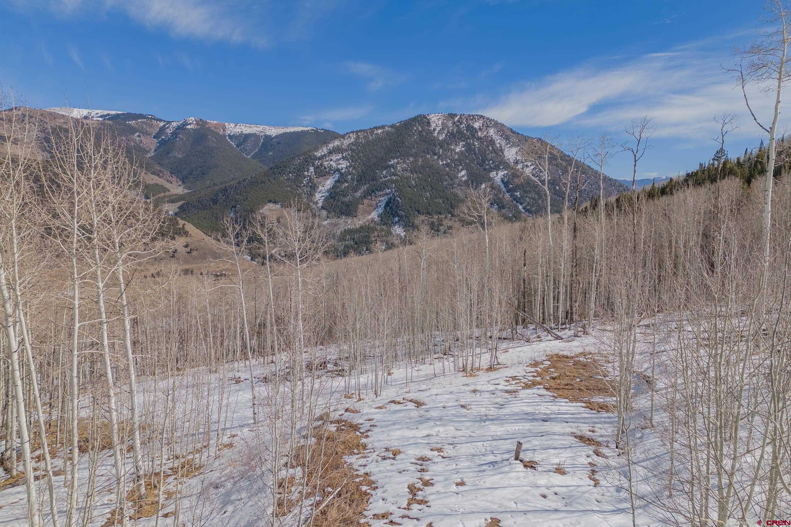 1363 Red Mountain Ranch Road Crested Butte, CO 81224 - Photo 32 of 38