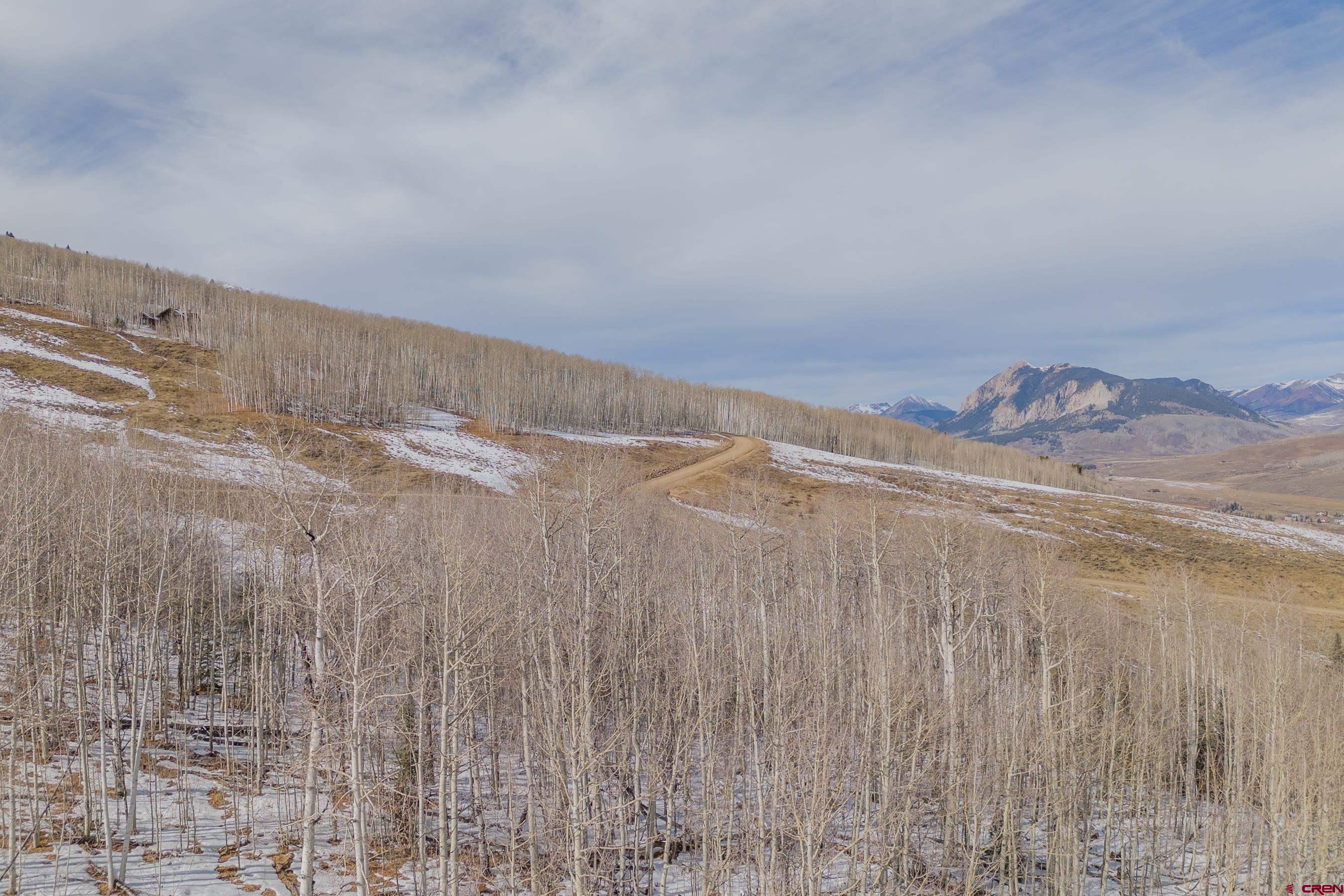 1363 Red Mountain Ranch Road Crested Butte, CO 81224 - Photo 33 of 38