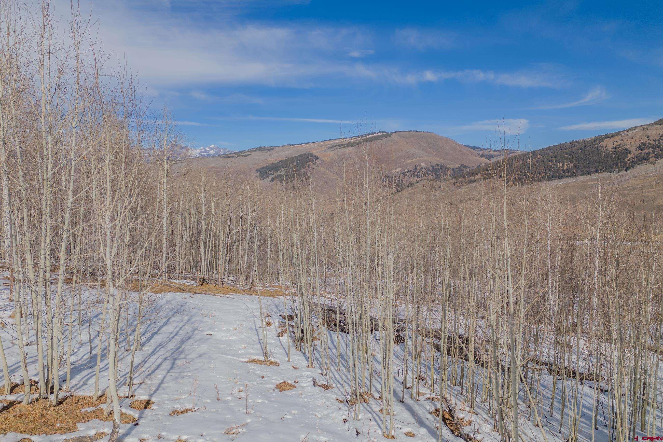 1363 Red Mountain Ranch Road Crested Butte, CO 81224 - Photo 37 of 38 a view of a dry yard with wooden fence