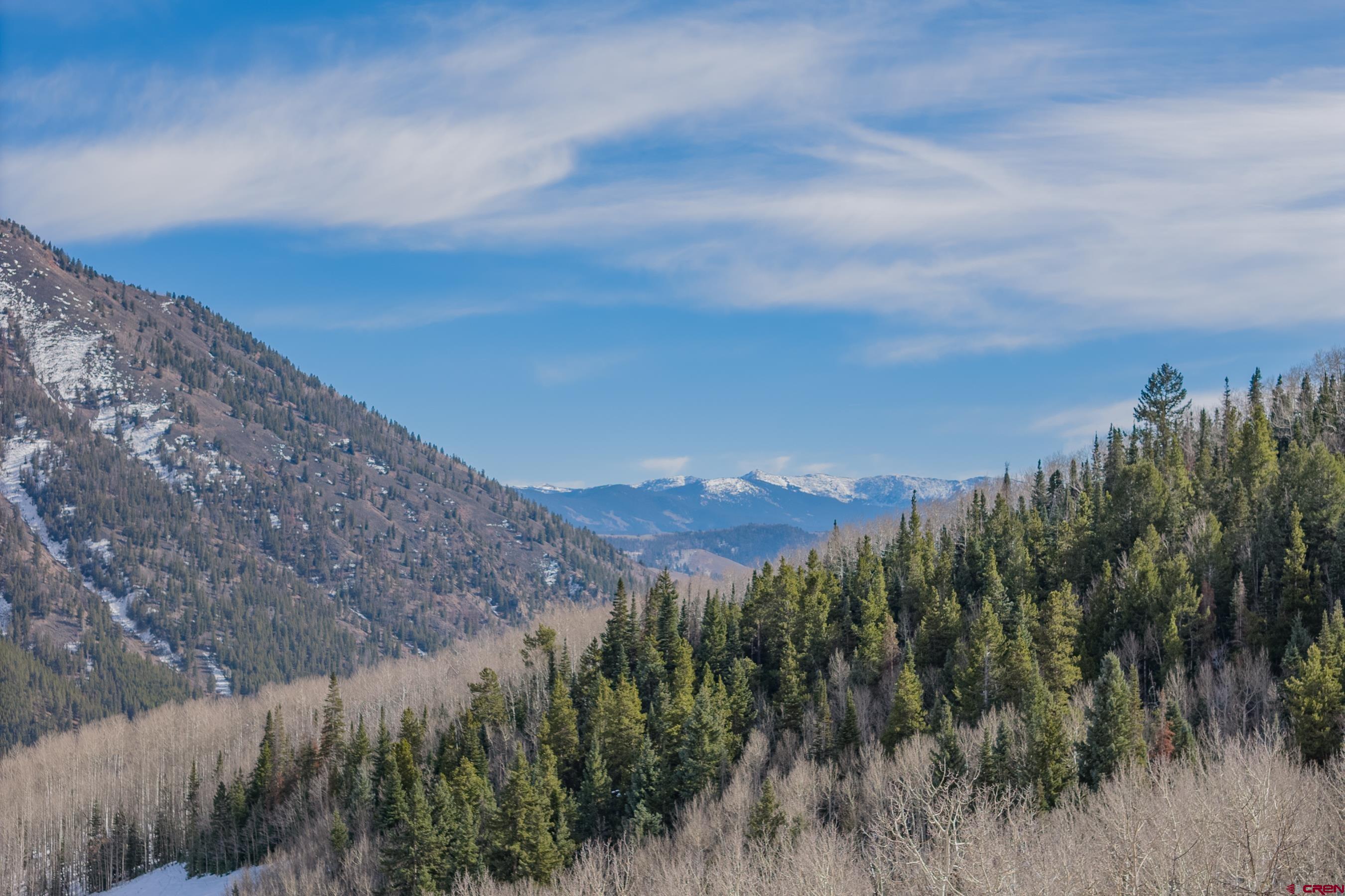 1363 Red Mountain Ranch Road Crested Butte, CO 81224 - Photo 7 of 38 a view of a dry yard with green space