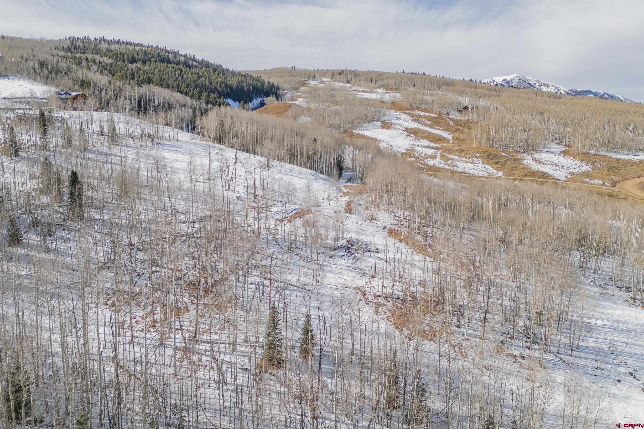 1363 Red Mountain Ranch Road Crested Butte, CO 81224 - Photo 10 of 38
