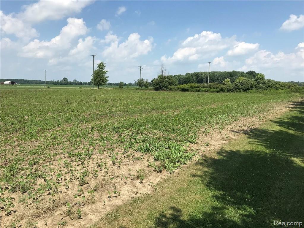 0 Masters Road Goodells, MI 48027 - Photo 2 of 2