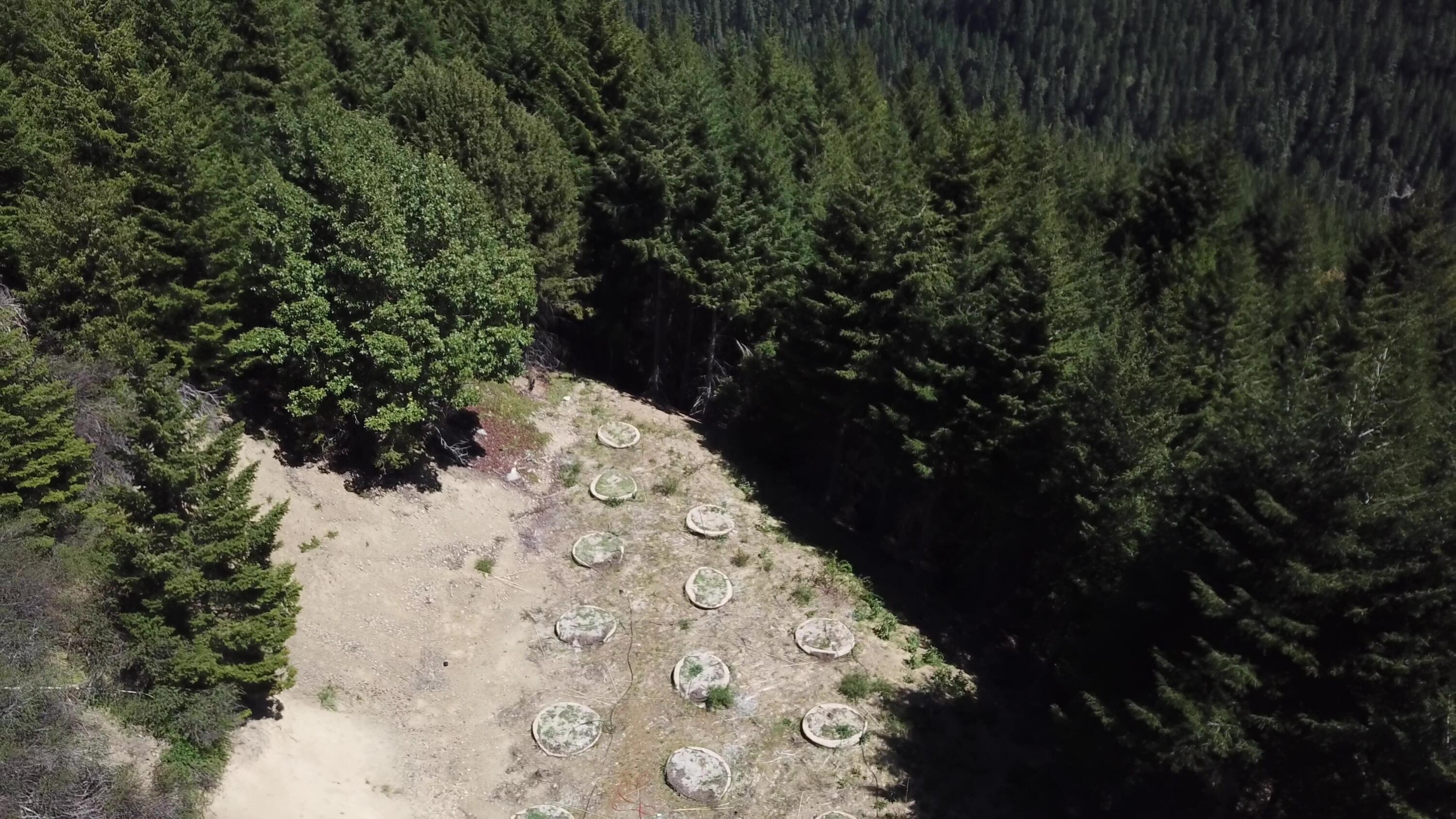 19265 Usfs Rte 1 Korbel, CA 95550 - Photo 19 of 23