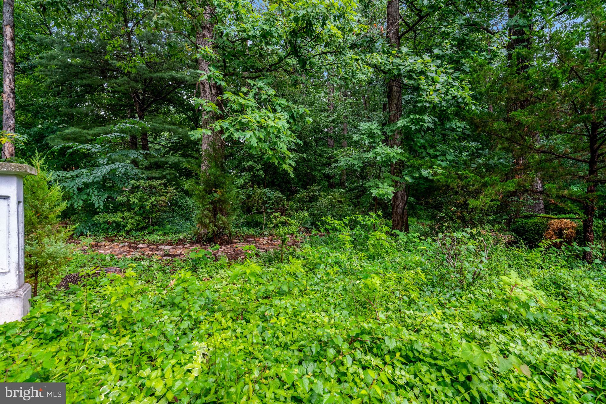 8304 Five Gates Road Annandale, VA 22003 - Photo 85 of 91