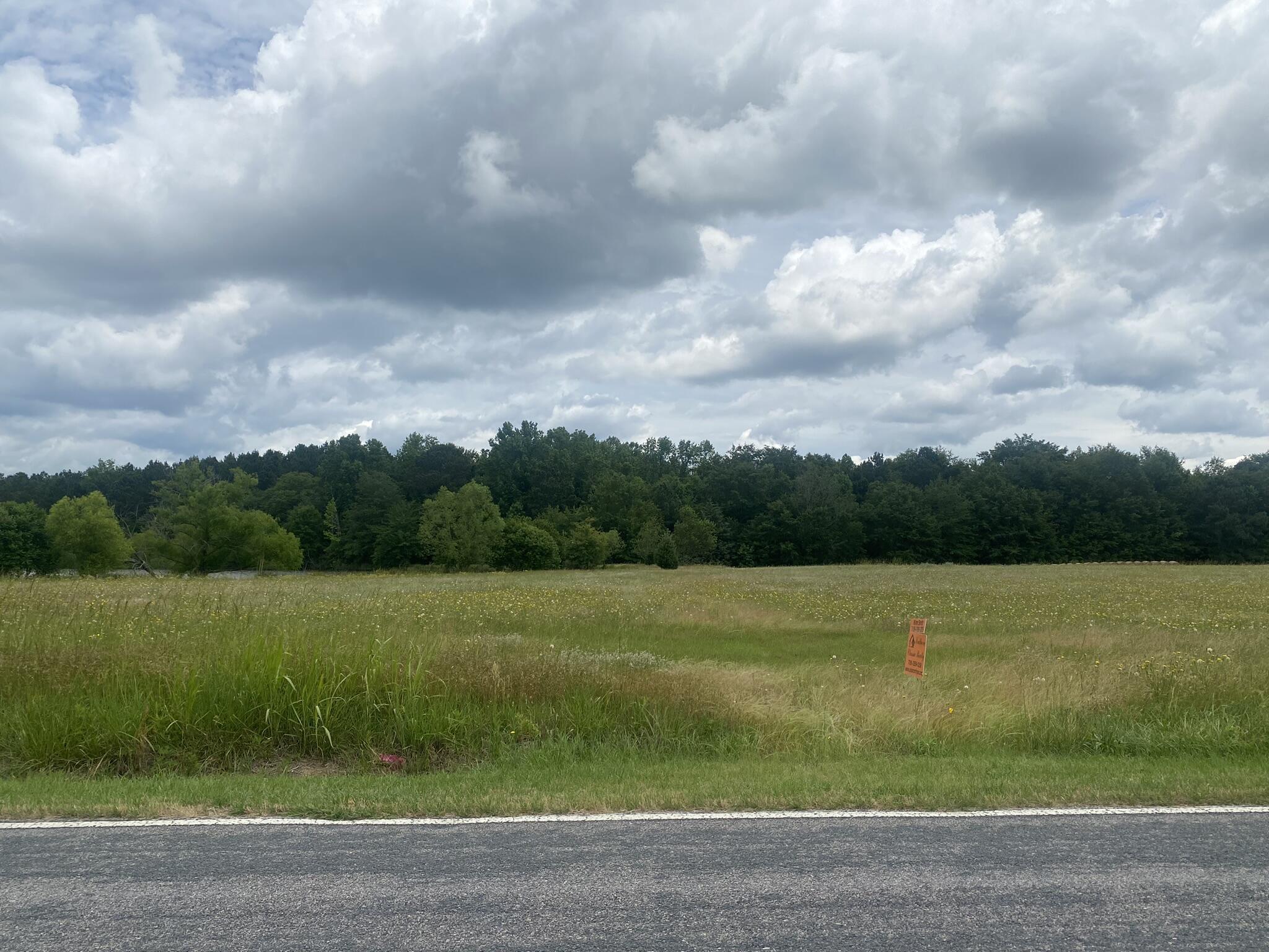 2 Hardy Place Road Johnston, SC 29832 - Photo 1 of 24 frontage