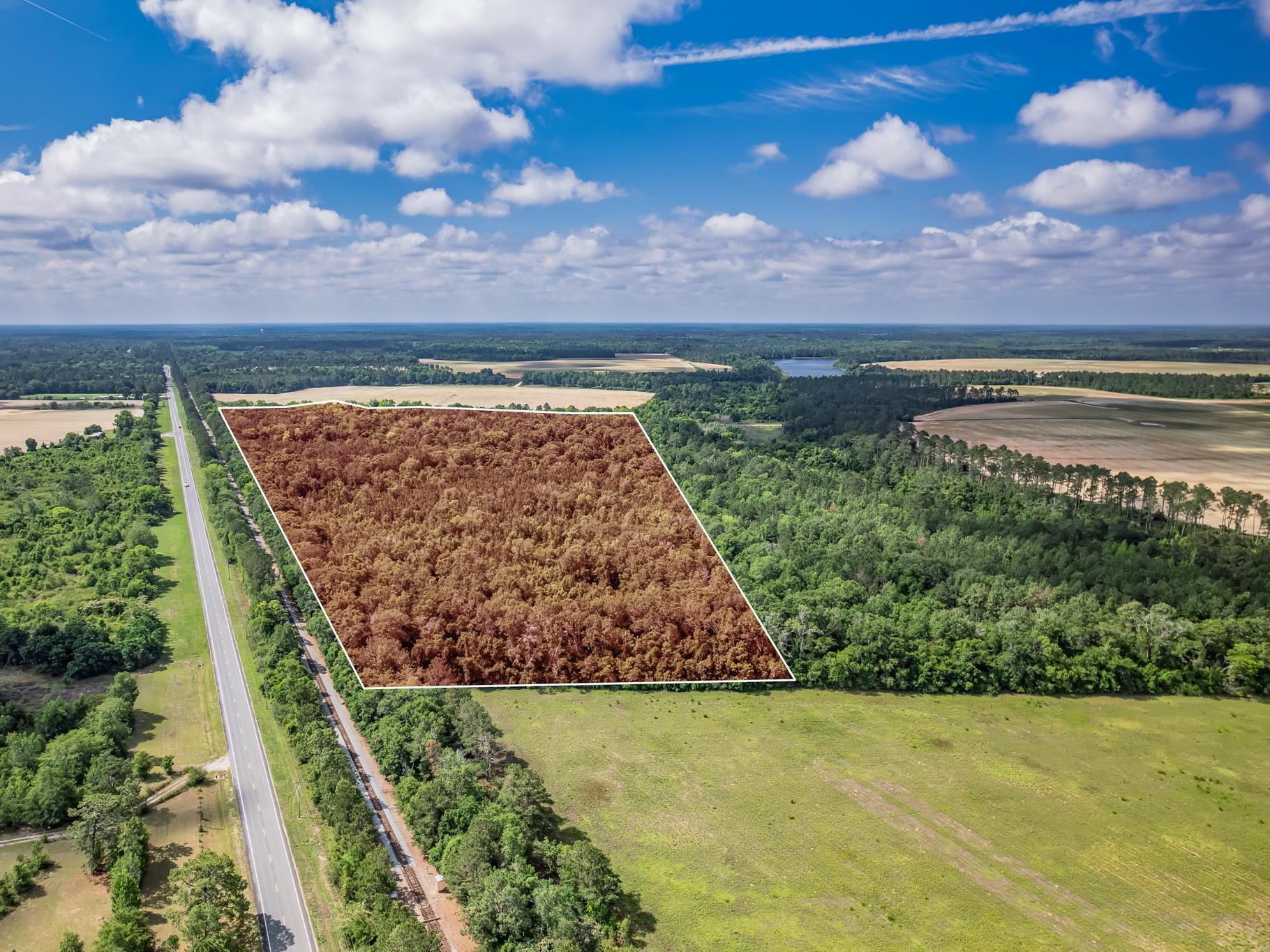 Xx Xx Hough Farm Road Quincy, FL 32351 - Photo 10 of 13