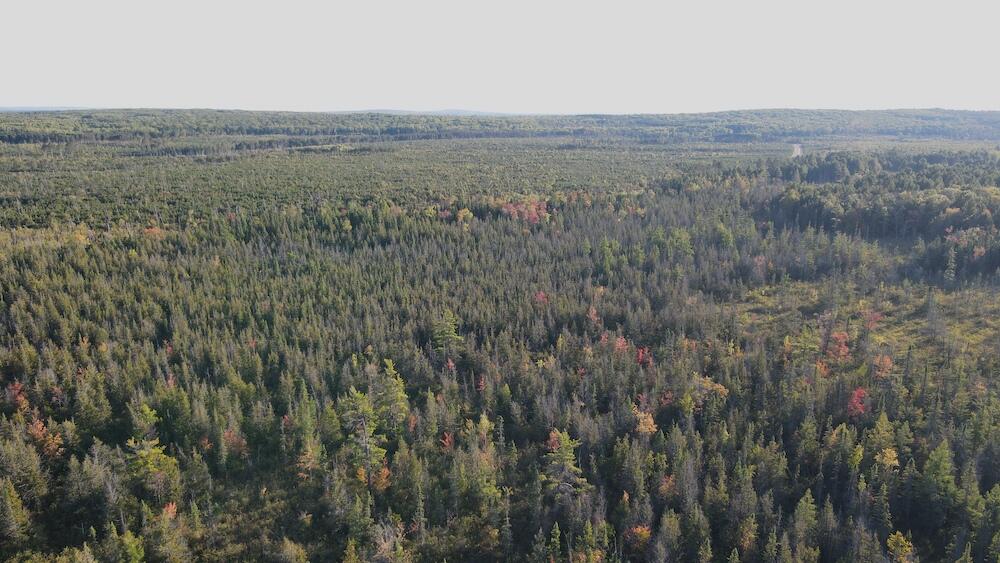 Vl River Lake Road Roscommon, MI 48653 - Photo 22 of 35