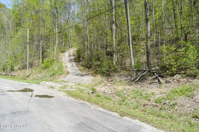 a view of a backyard of the house