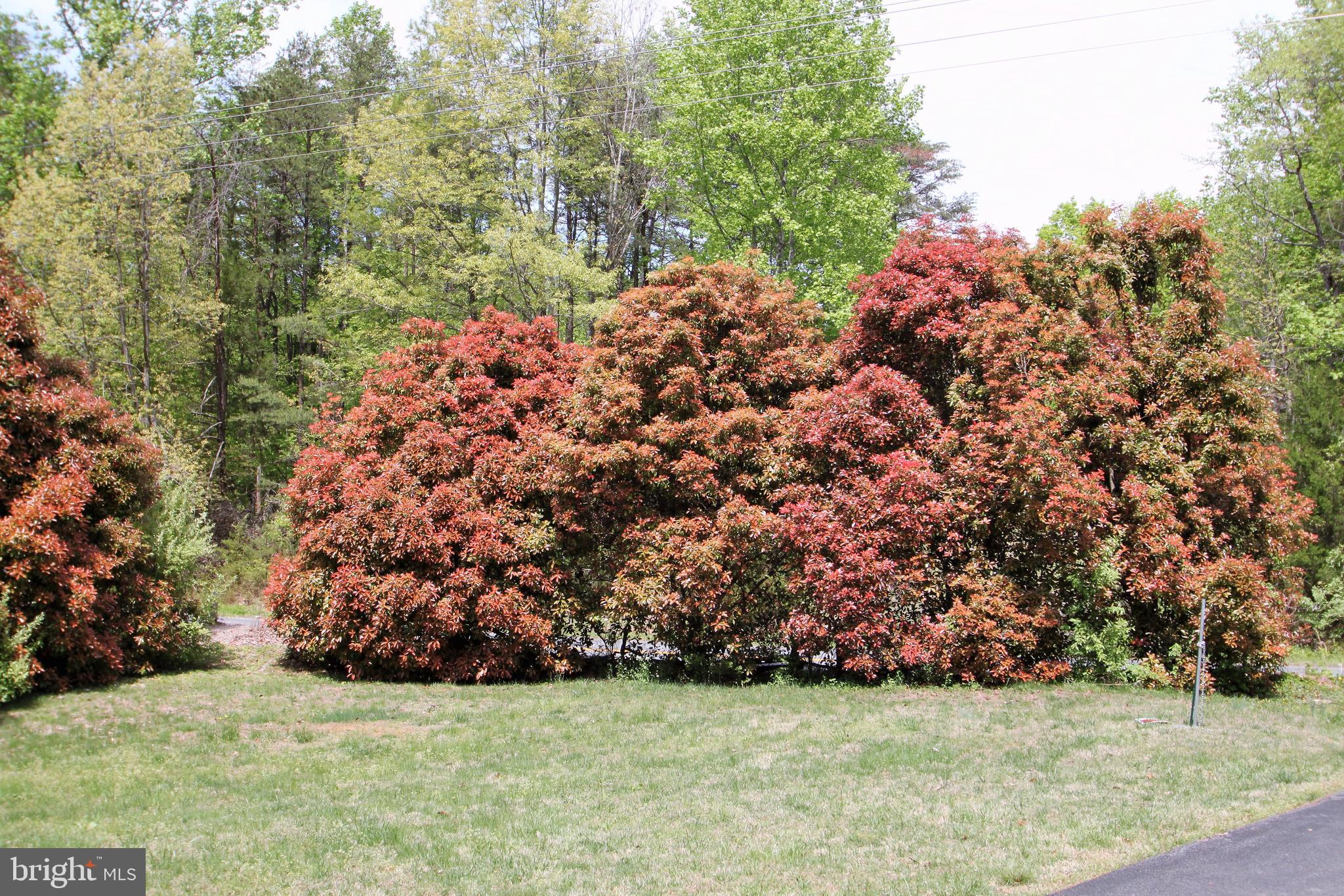 24484 Eleys Ford Road Lignum, VA 22726 - Photo 11 of 26 Gallery Image 11
