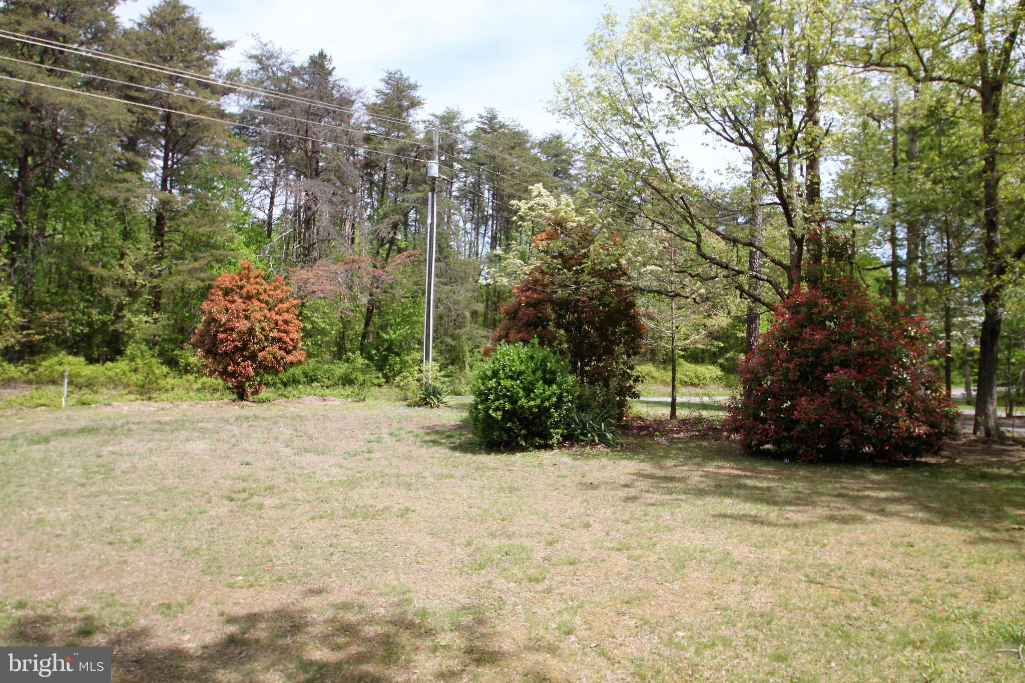 24484 Eleys Ford Road Lignum, VA 22726 - Photo 10 of 26 Gallery Image 10