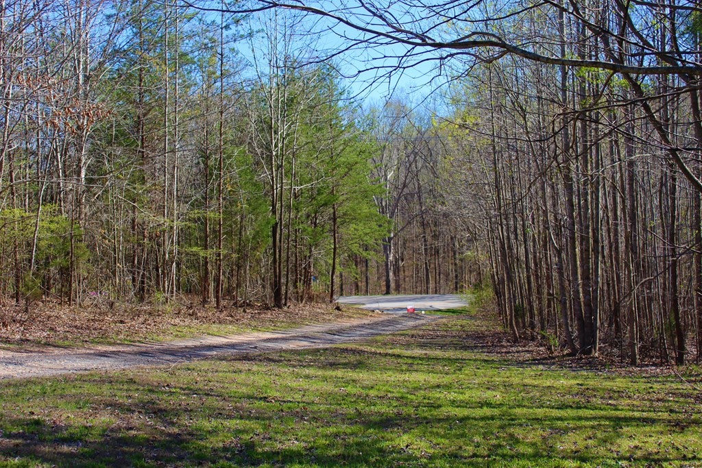 33 Rosney Road Dillwyn, VA 23936 - Photo 23 of 26 Gallery Image 23