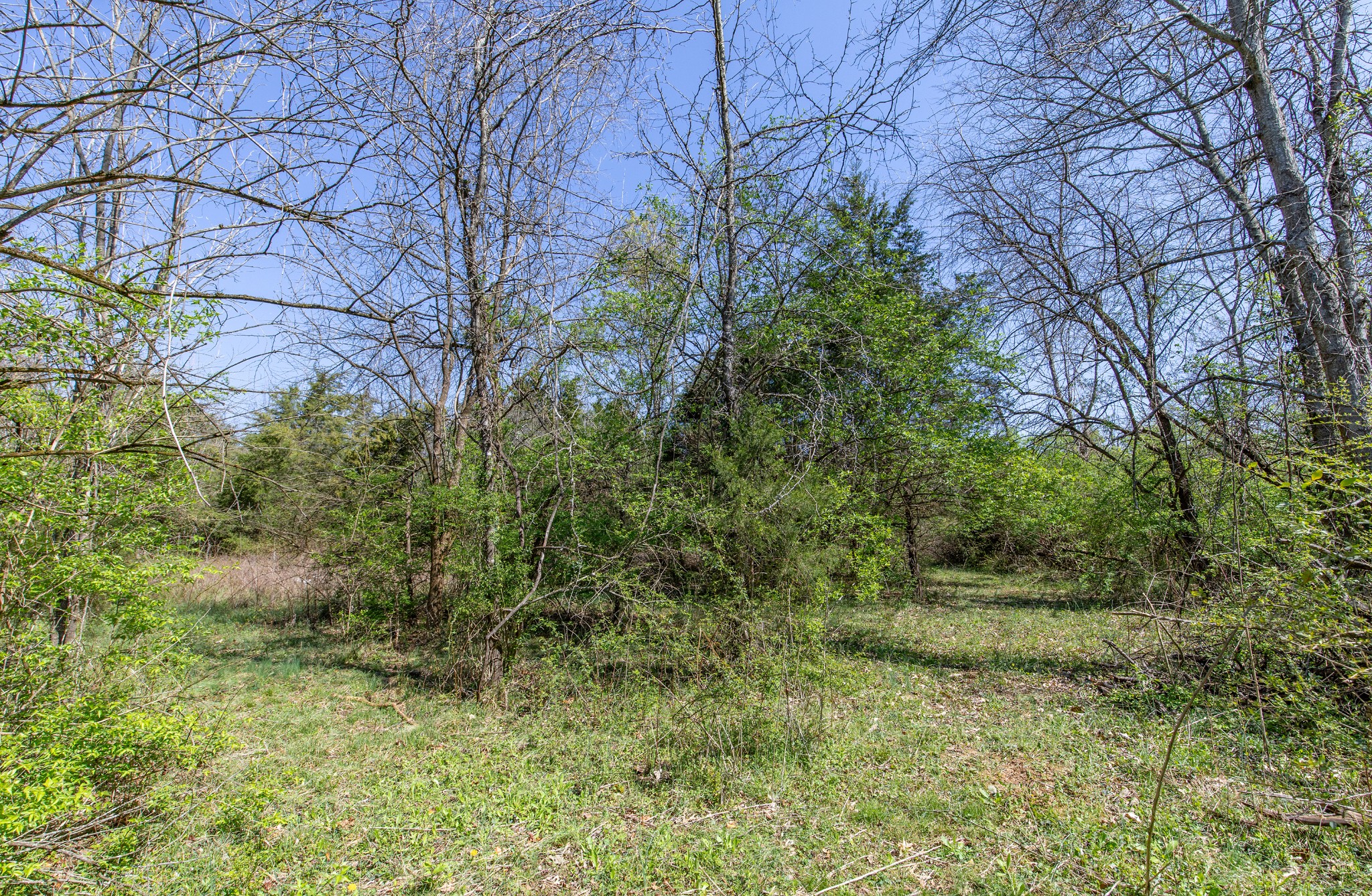 227 Spero Road Goodlettsville, TN 37072 - Photo 19 of 52 Gallery Image 19