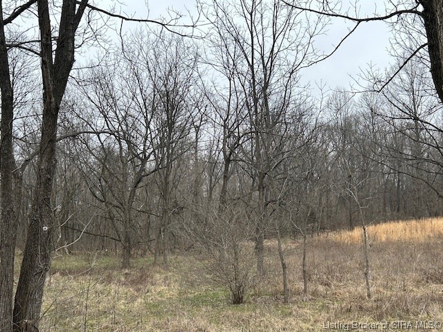 Union Chapel Road Corydon, IN 47112 - Photo 3 of 3