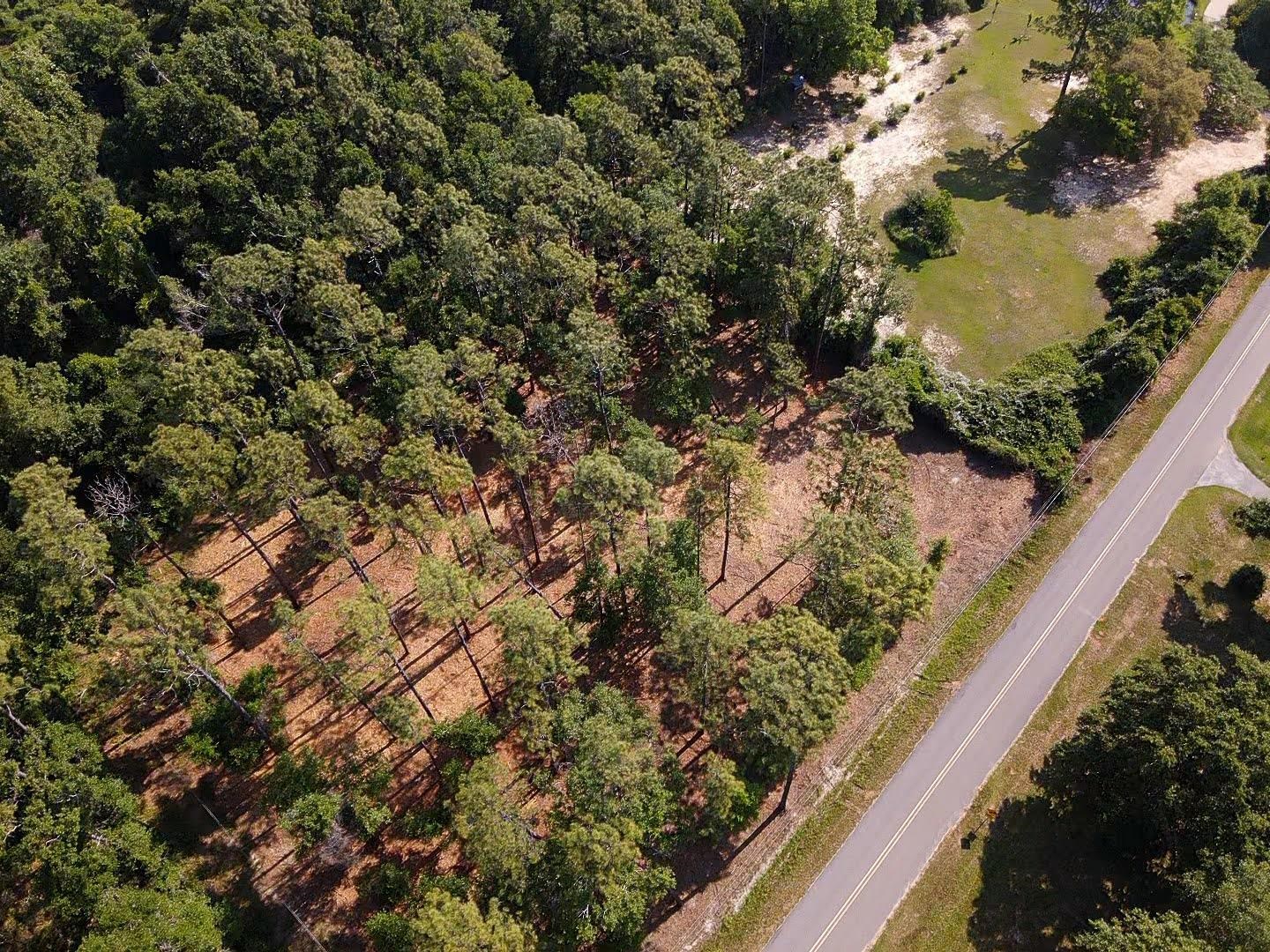 0 Antietam Road Lillian, AL 36549 - Photo 1 of 32