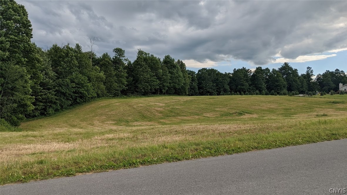 0 Slone Road Lee Center, NY 13363 - Photo 1 of 1
