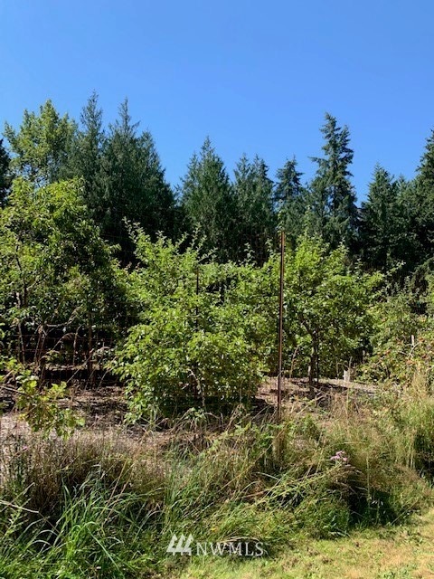 1575 South Jacob Miller Road Port Townsend, WA 98368 - Photo 40 of 40 Gallery Image 40