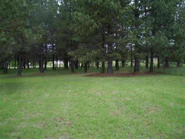 15404 East Frideger Road Elk, WA 99009 - Photo 4 of 9