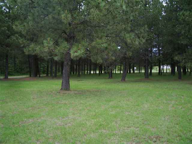 15404 East Frideger Road Elk, WA 99009 - Photo 5 of 9