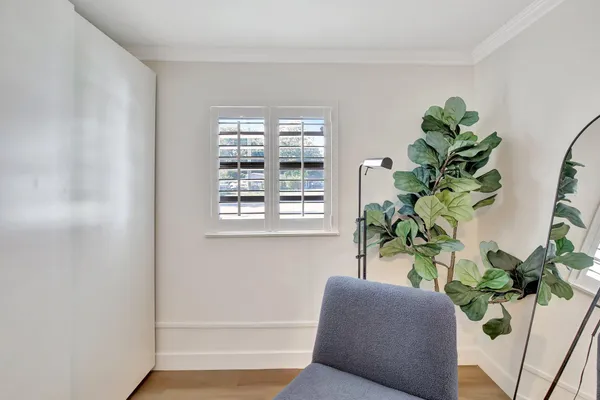 a living room with furniture and a potted plant