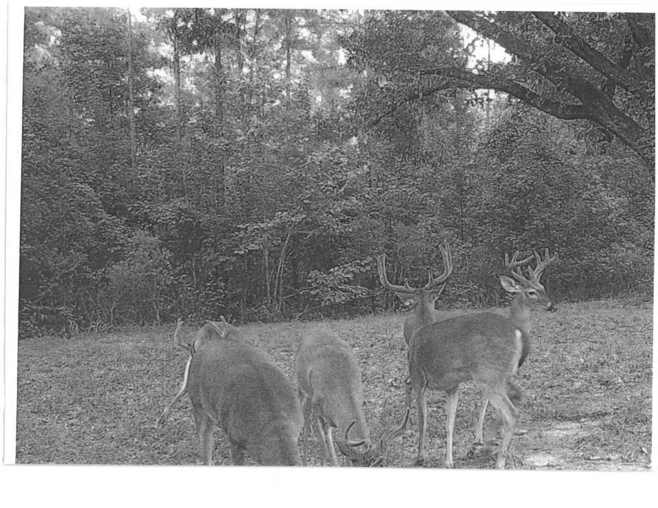 1208 Dale Road Benton, MS 39039 - Photo 11 of 11 Photo 11