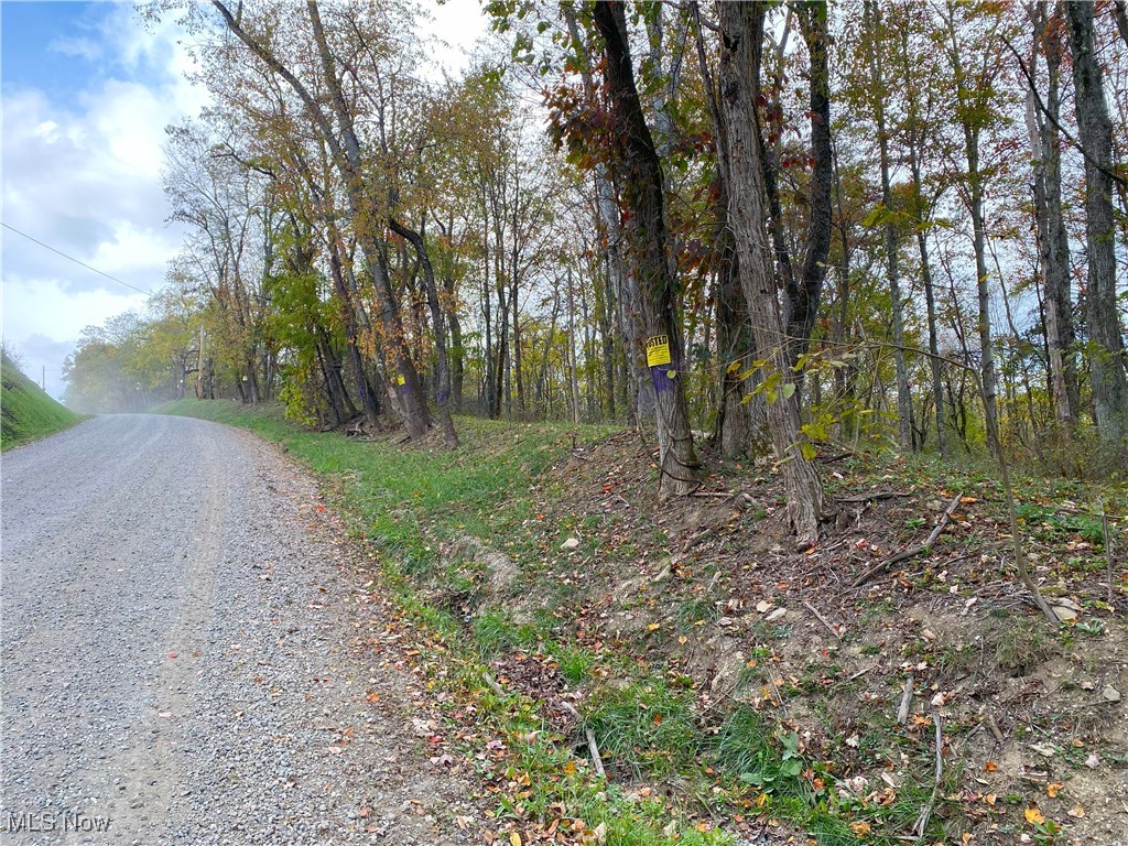 Toker Road Hopedale, OH 43976 - Photo 14 of 28 View of street