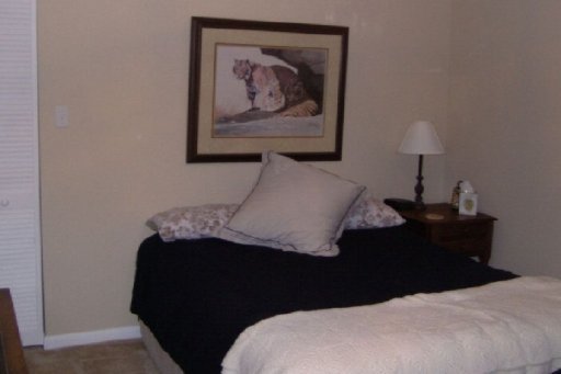 5604 Ridgefield Road Knoxville, TN 37912 - Photo 18 of 40 Additional Photo