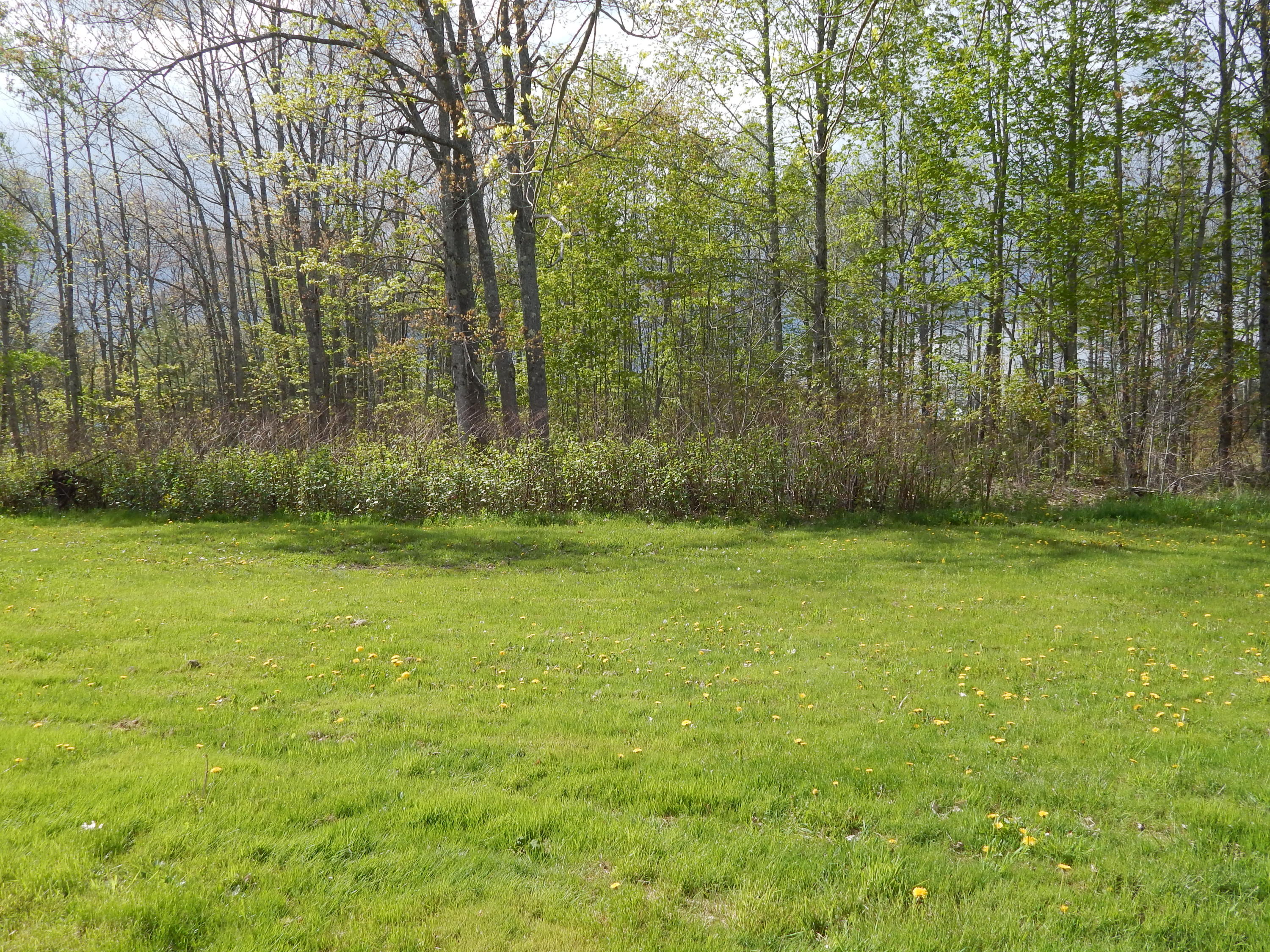 409 Clark Road North Kenduskeag, ME 04450 - Photo 7 of 20 DSCN3305